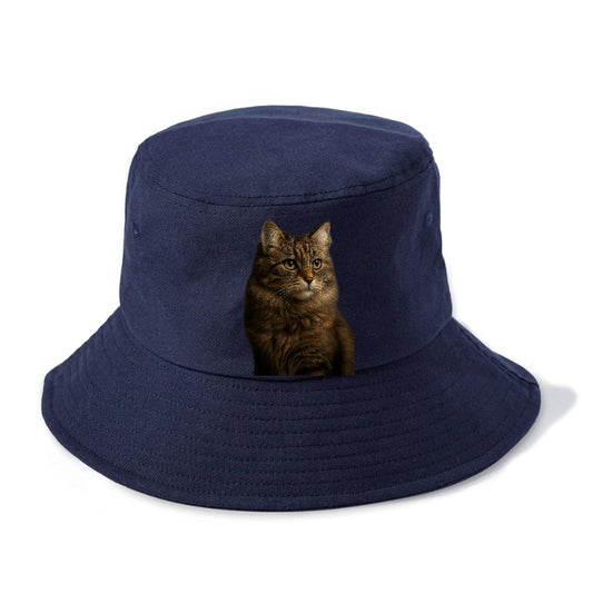 Domestic Longhair Graceful Flow Bucket Hat