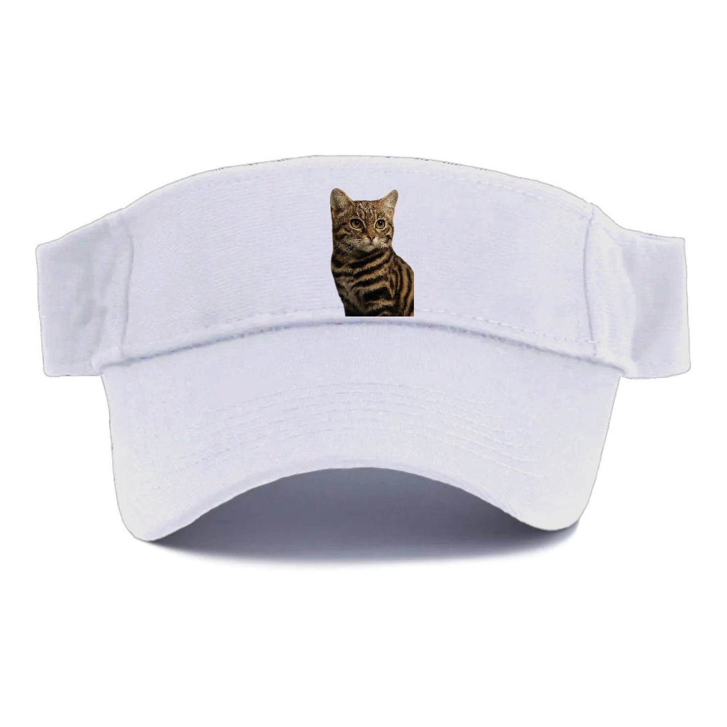 Blackfooted Cat Elusive Hunter Visor