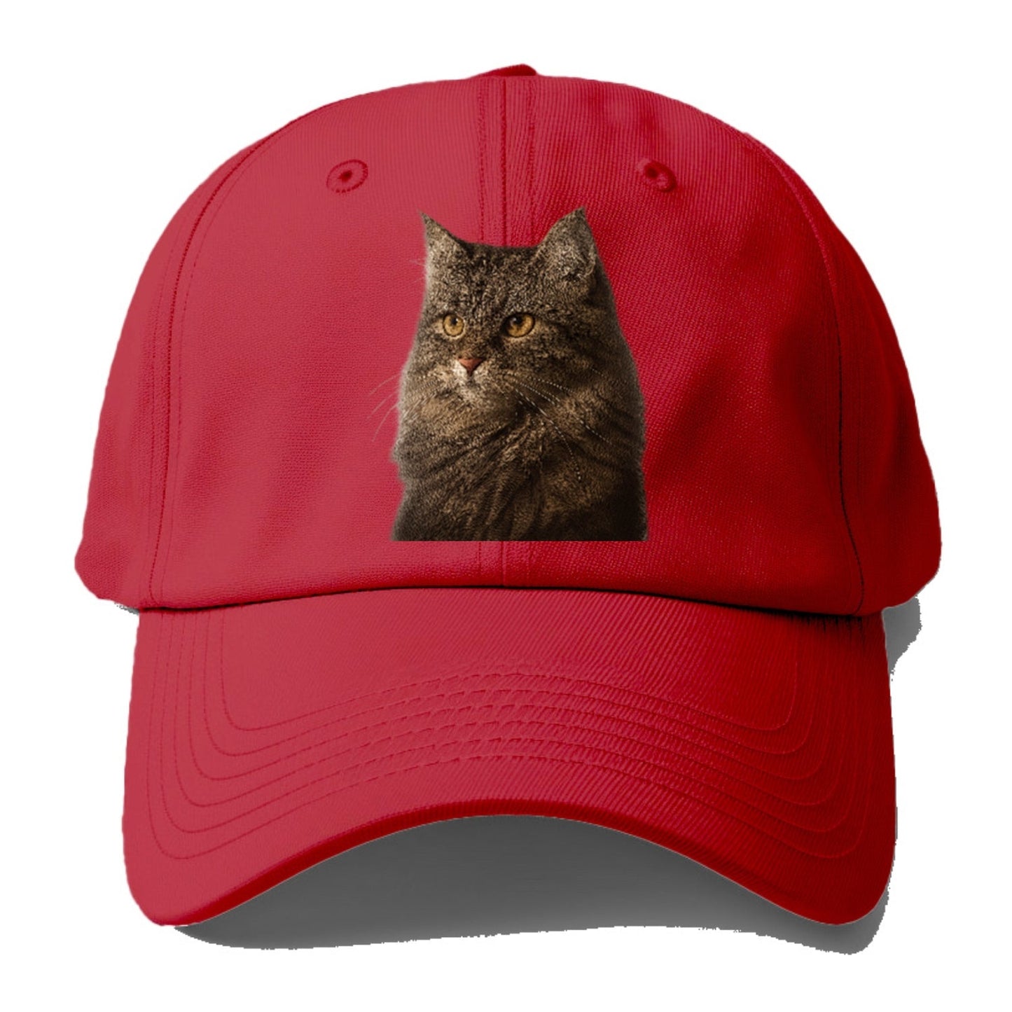 Domestic Longhair Graceful Charm Baseball Cap
