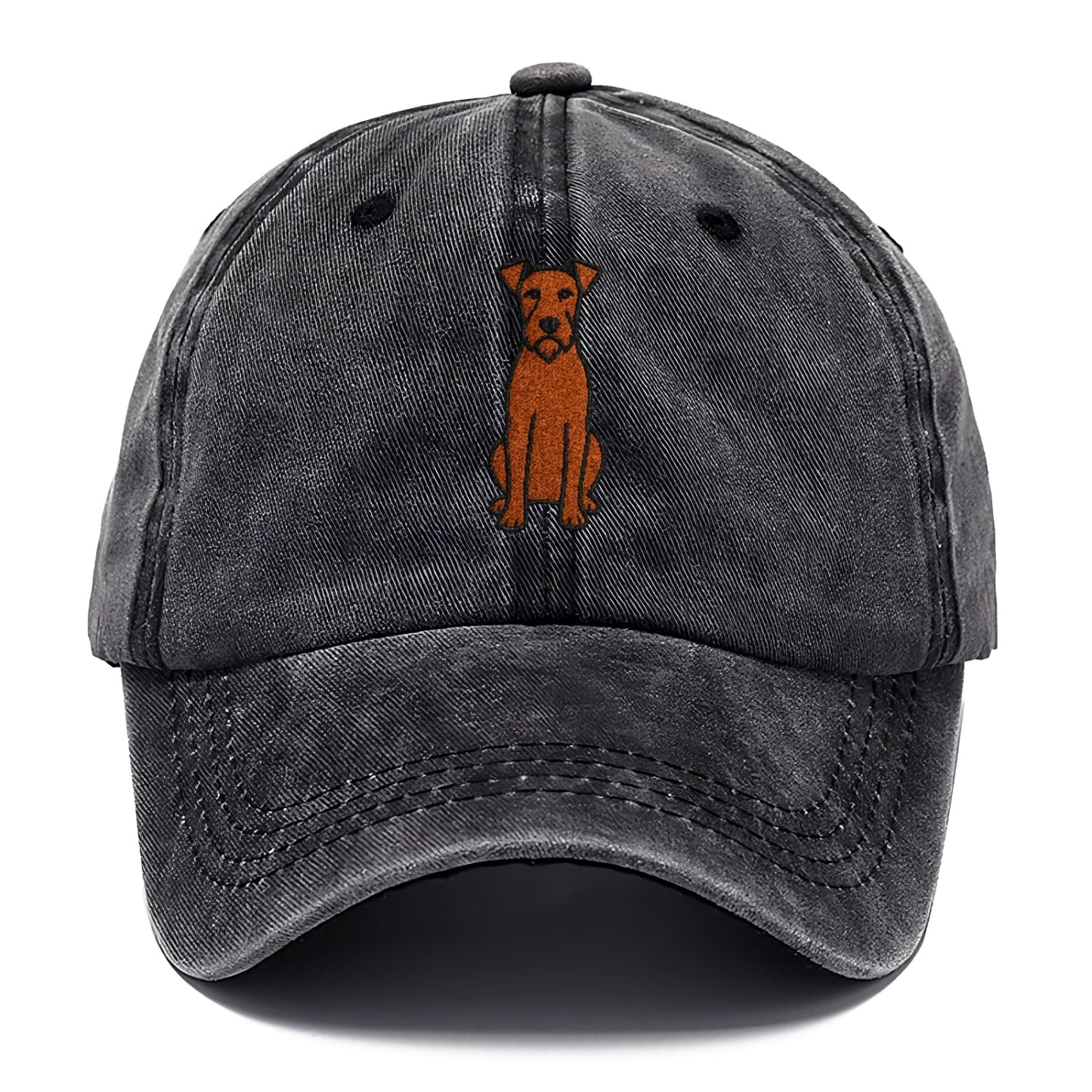 Irish Terrier Red Colored Sitting Pose Classic Cap