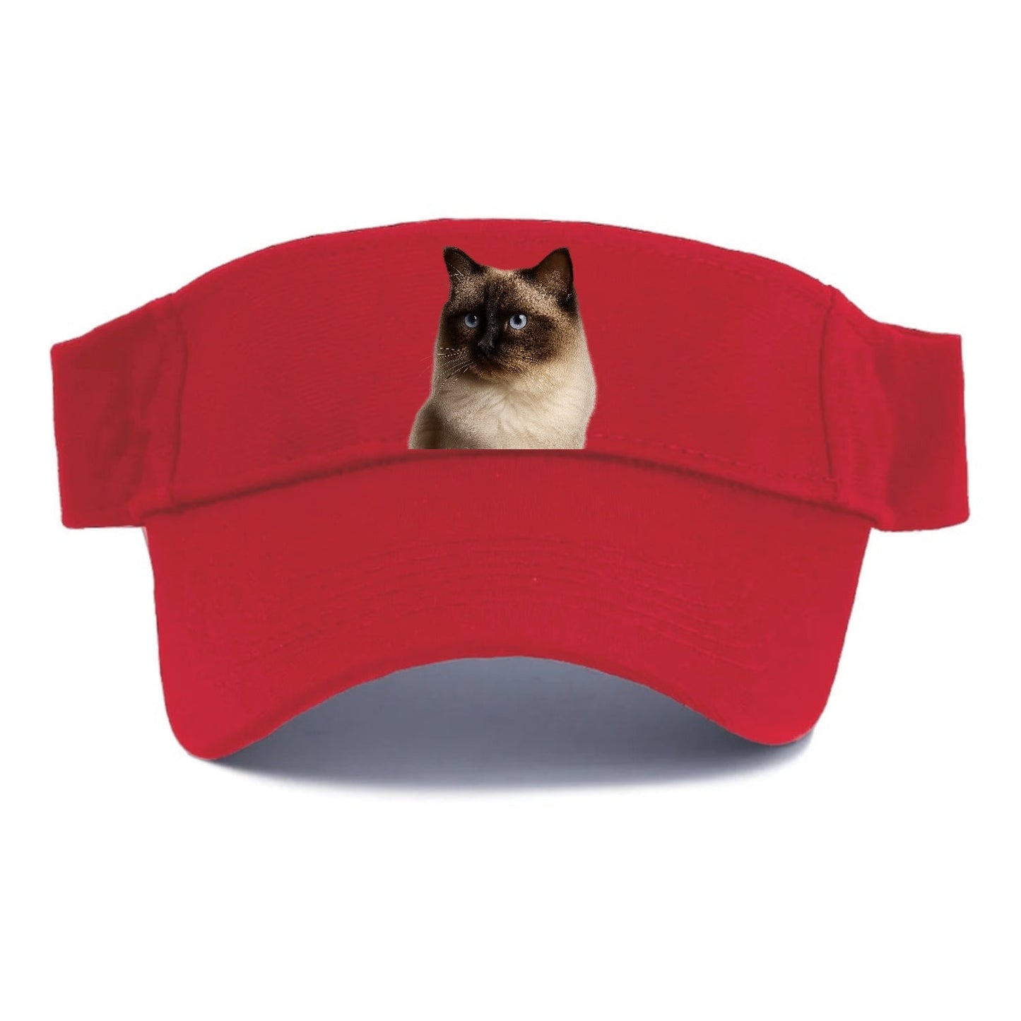 Ragdoll Gentle Demeanor Visor