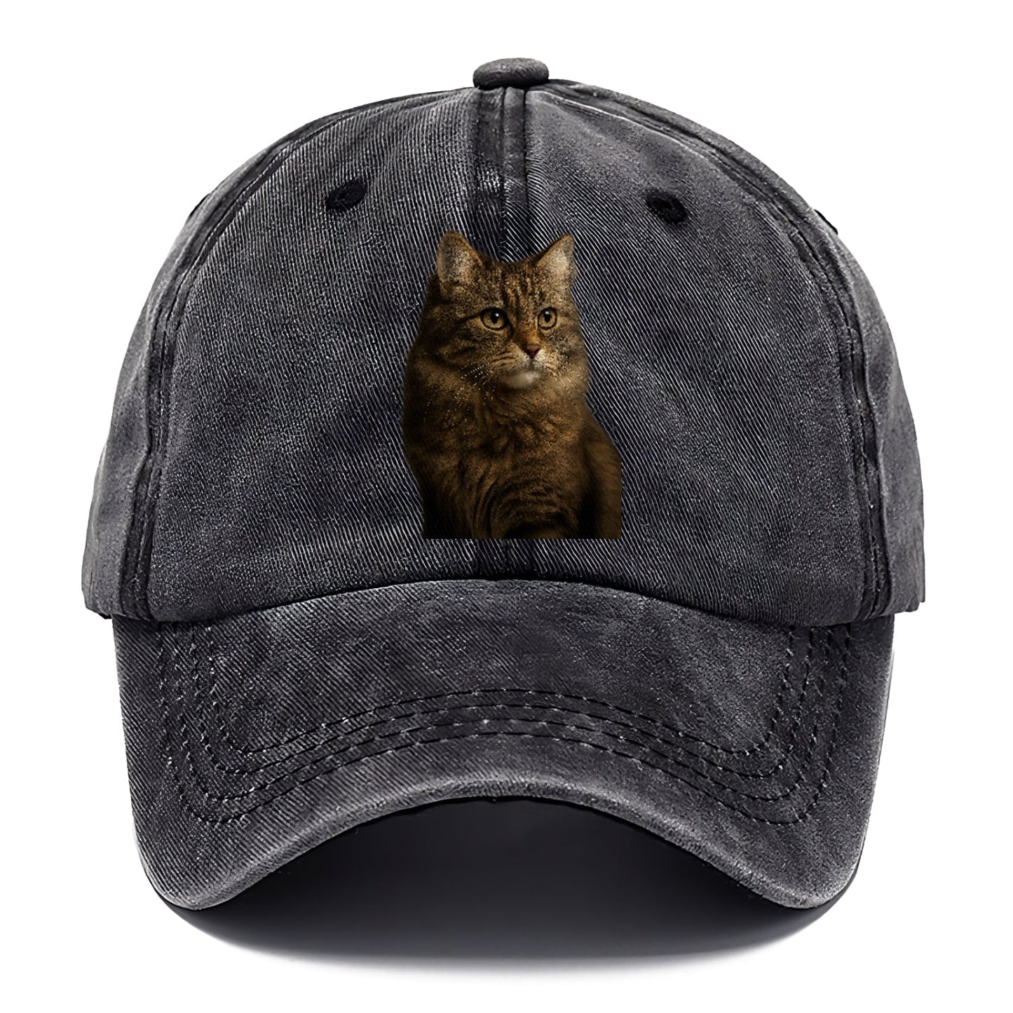 Domestic Longhair Graceful Flow Classic Cap