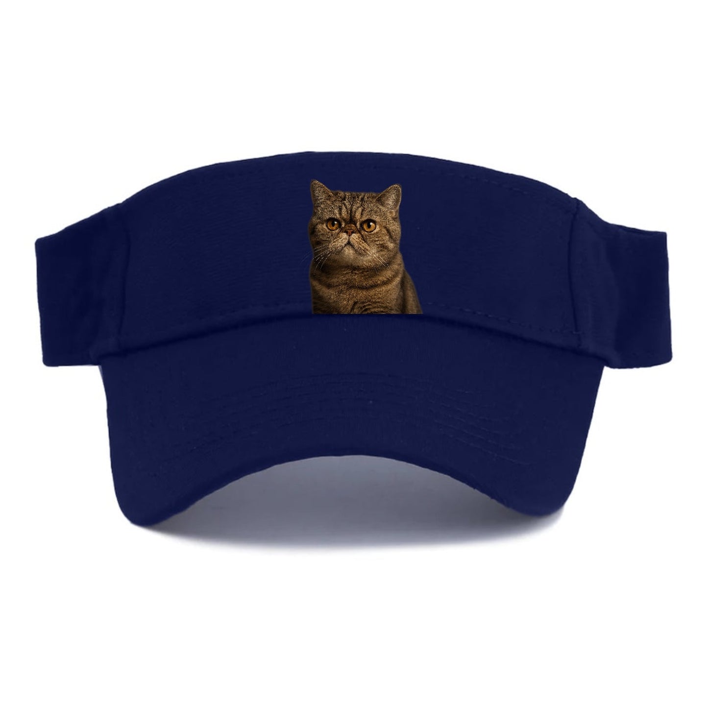 Exotic Shorthair Charm Visor