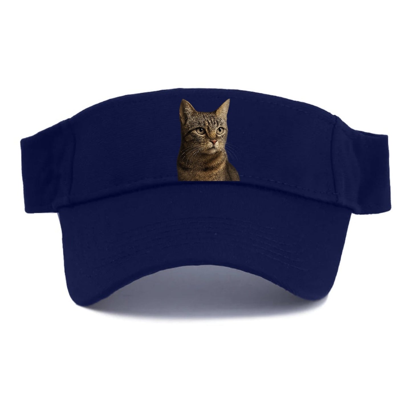 Stray Cat Resilient Spirit Visor