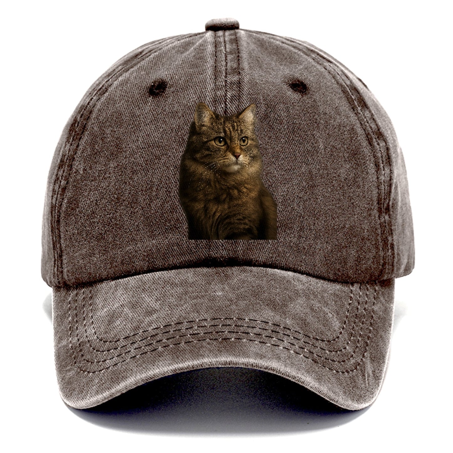 Domestic Longhair Graceful Flow Classic Cap