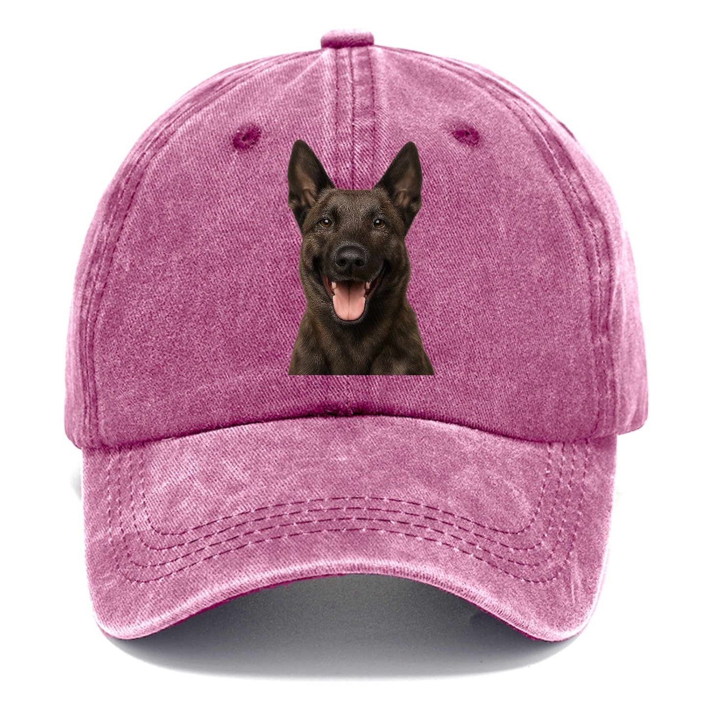 Dutch Shepherd: Unyielding Devotion Classic Cap
