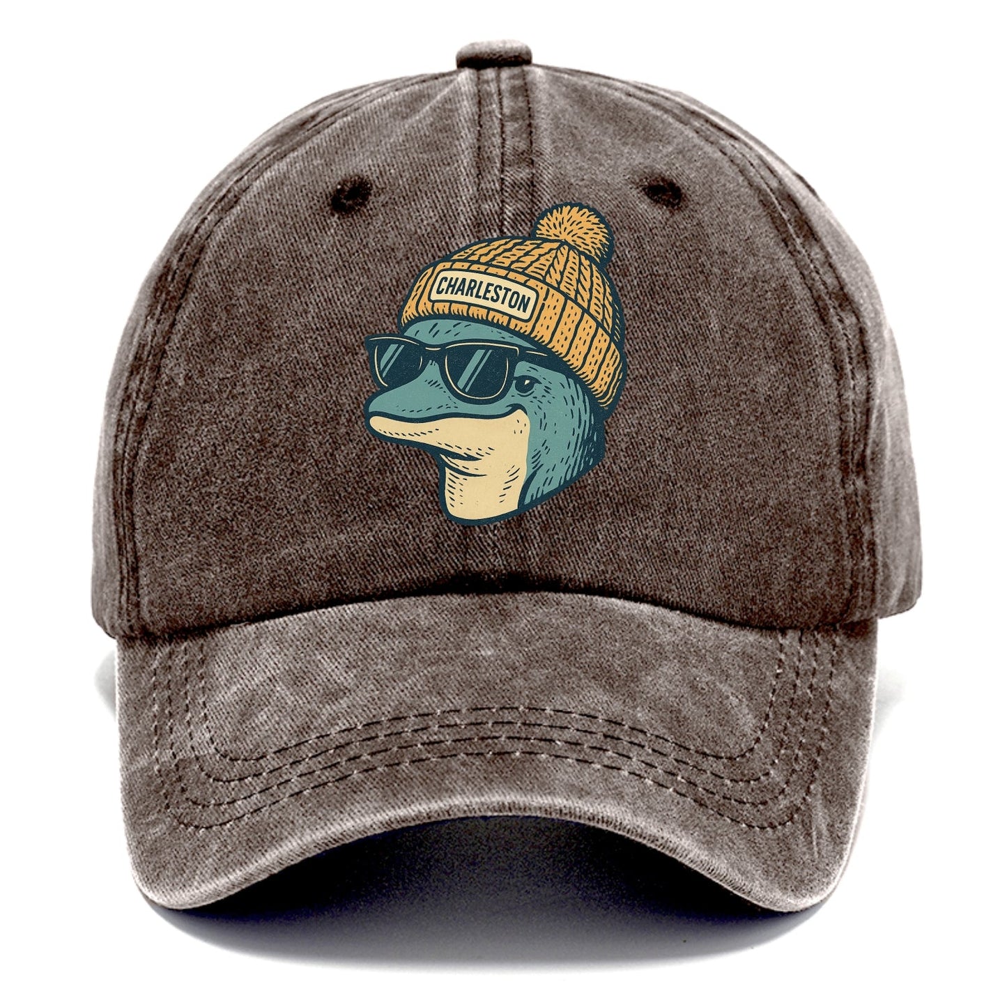 Charleston Dolphin wearing Charleston beanie with pom pom and wayfarer sunglasses - Classic Cap