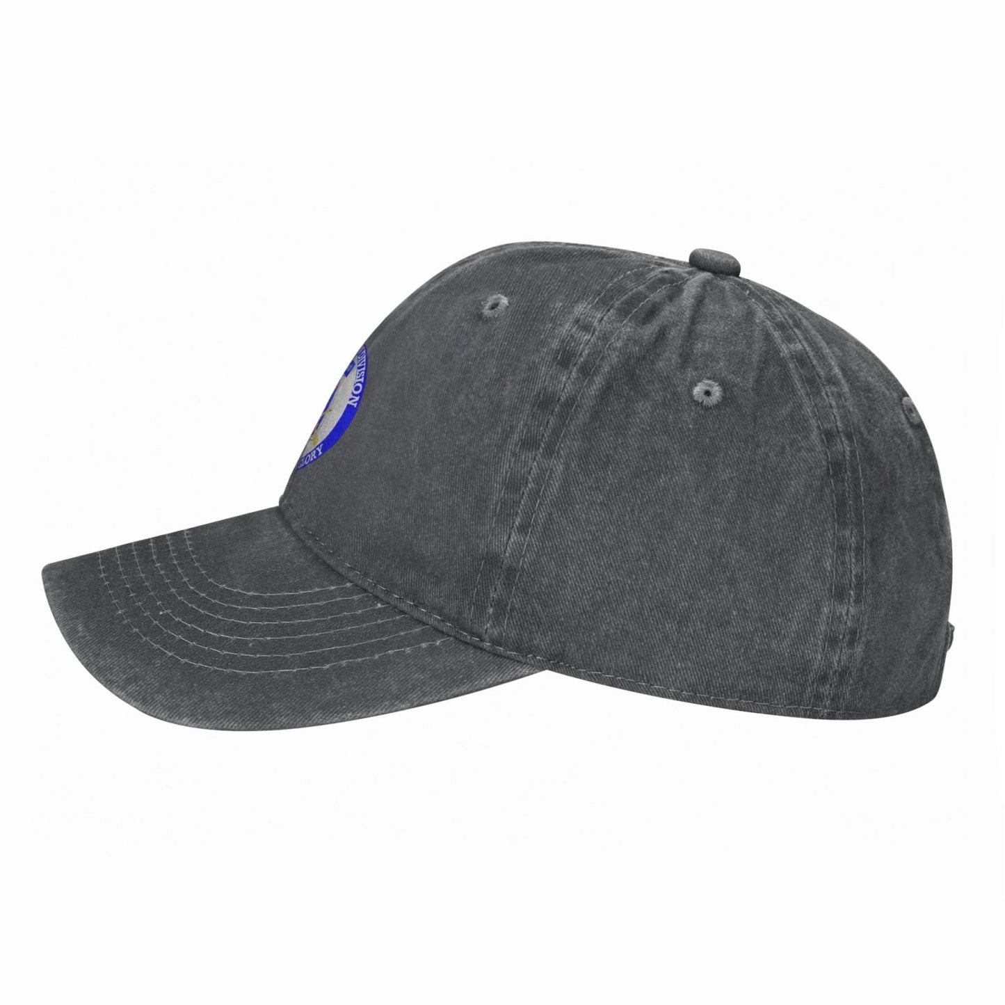 Us Army 10th Mountain Division Printing unisex baseball cap adjustable hats veteran gift