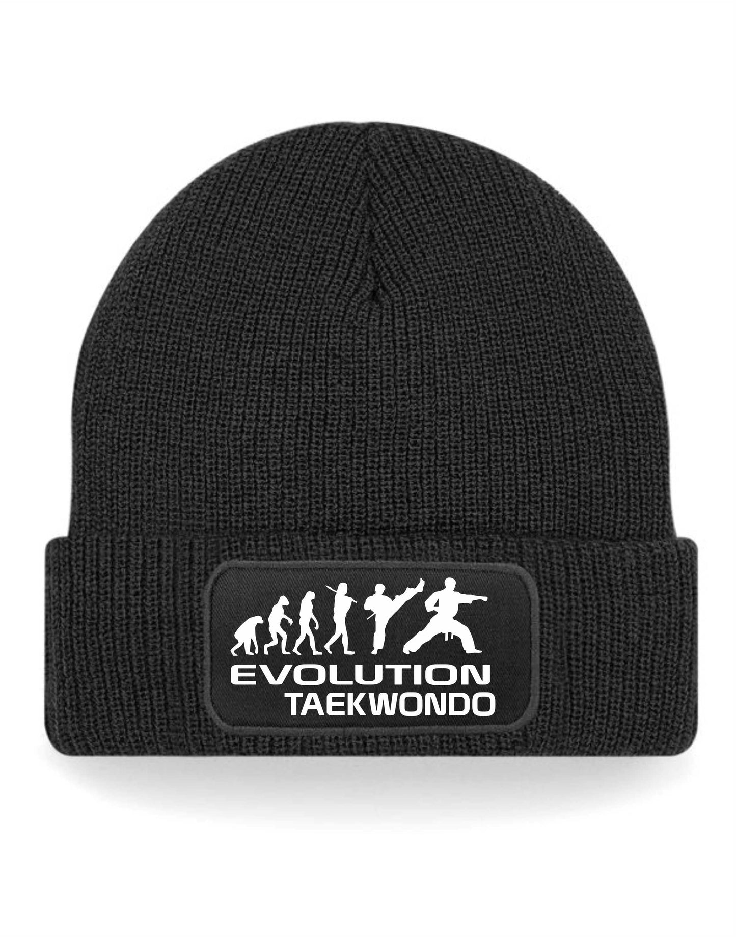 Evolution Of Taekwondo Beanie Hat Martial Arts Birthday Gift For Men & Ladies