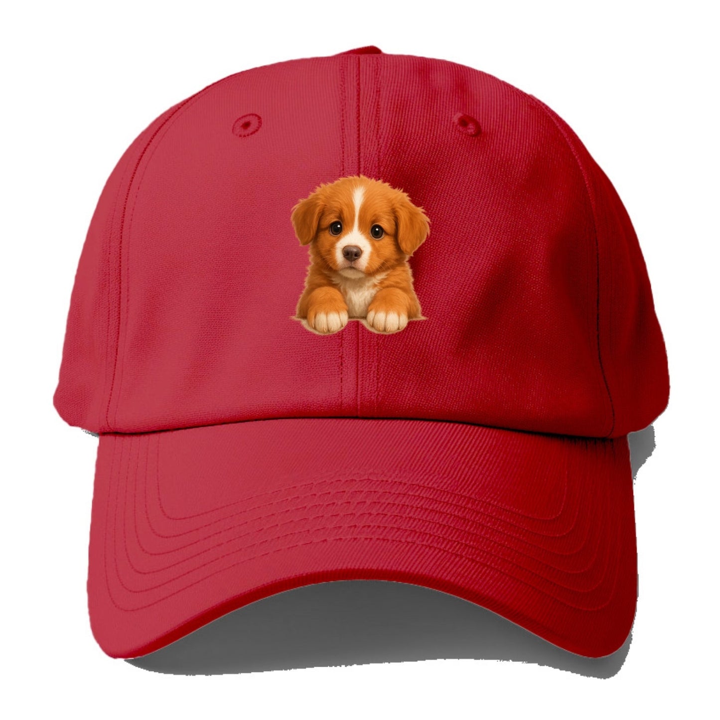 Nova Scotia Duck Tolling Retriever  - Baseball Cap