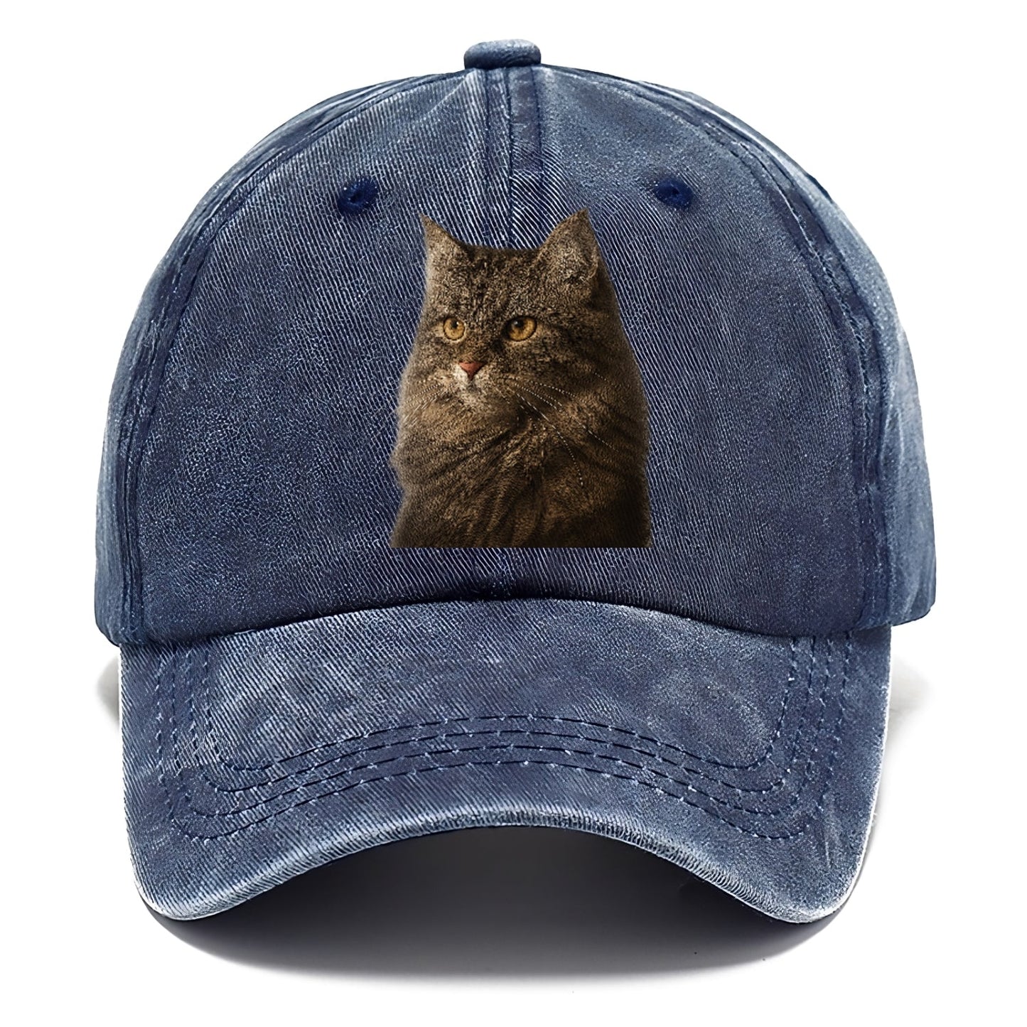 Domestic Longhair Graceful Charm Classic Cap