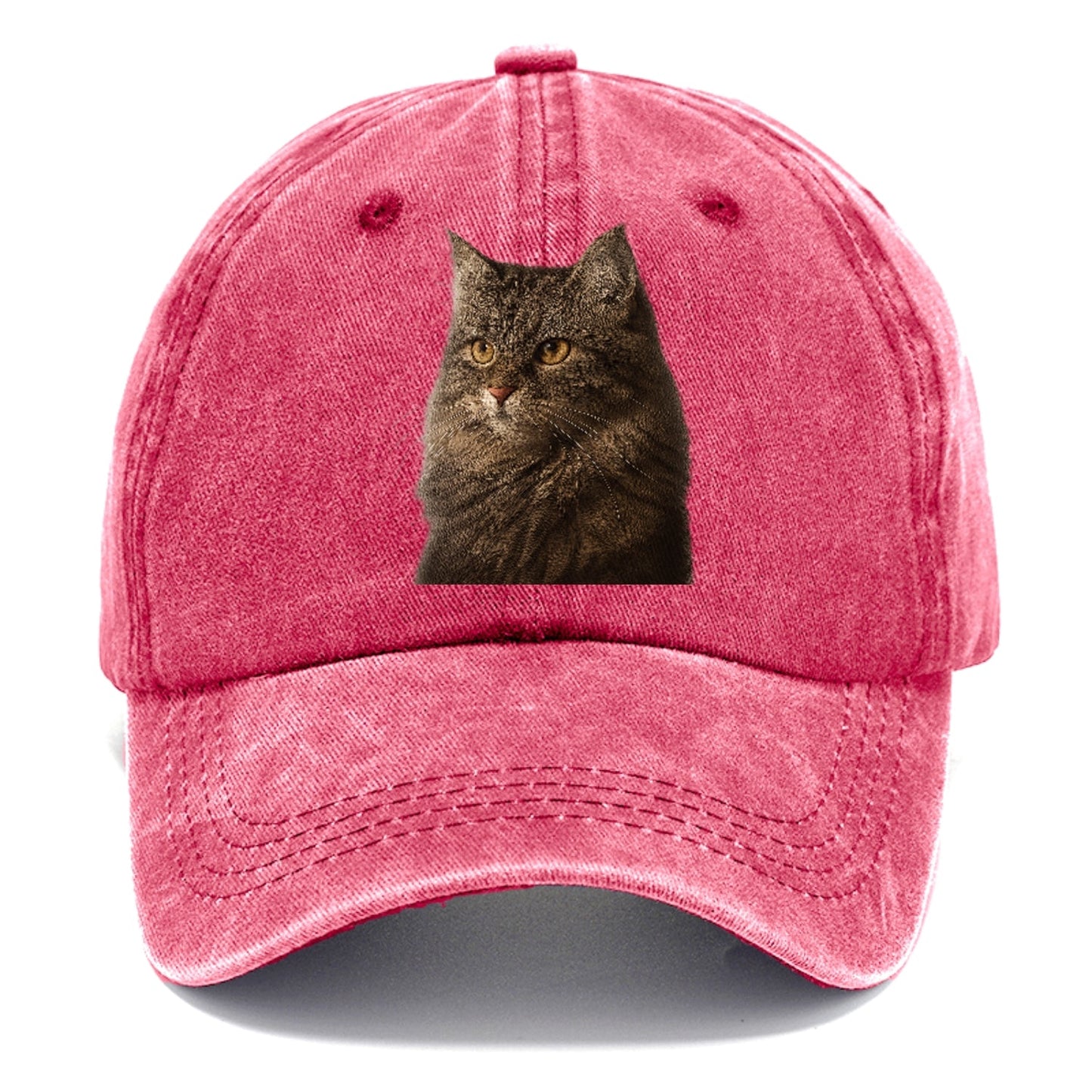 Domestic Longhair Graceful Charm Classic Cap