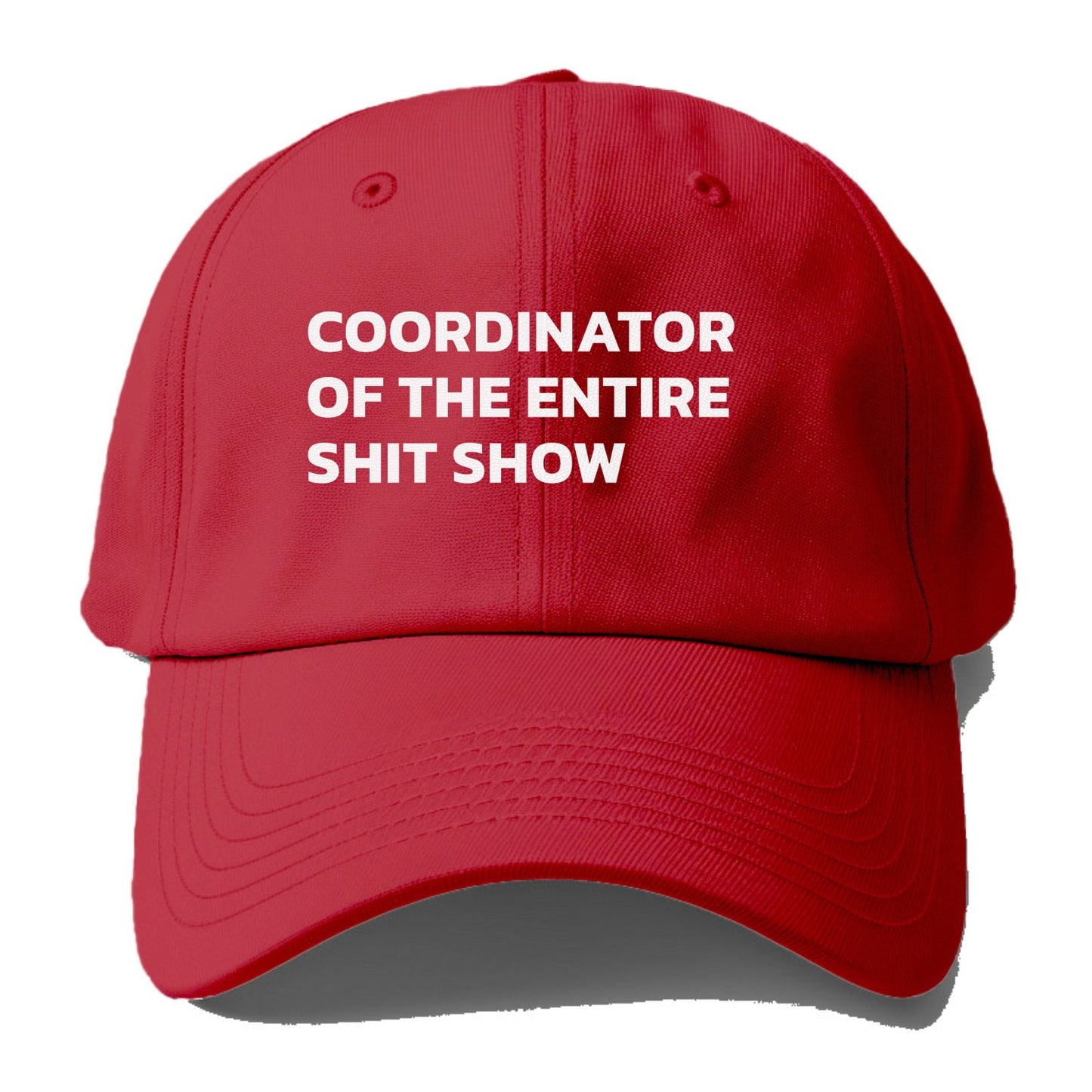 Coordinator Of The Entire Shit Show Baseball Cap