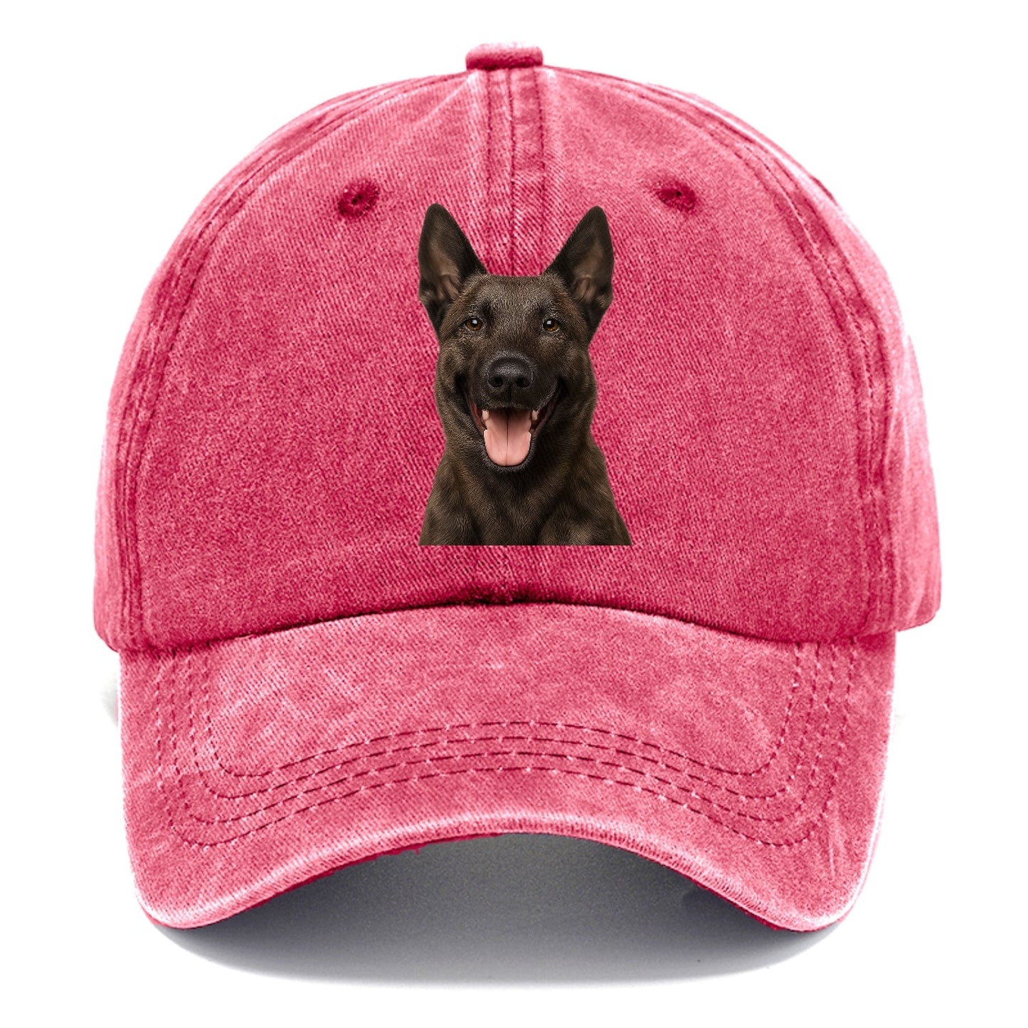 Dutch Shepherd: Unyielding Devotion Classic Cap