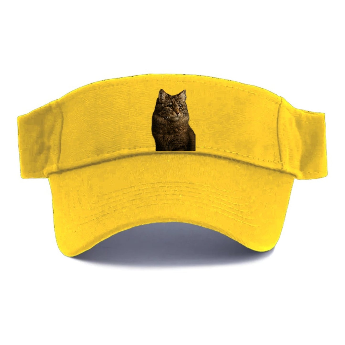 Domestic Longhair Graceful Flow Visor