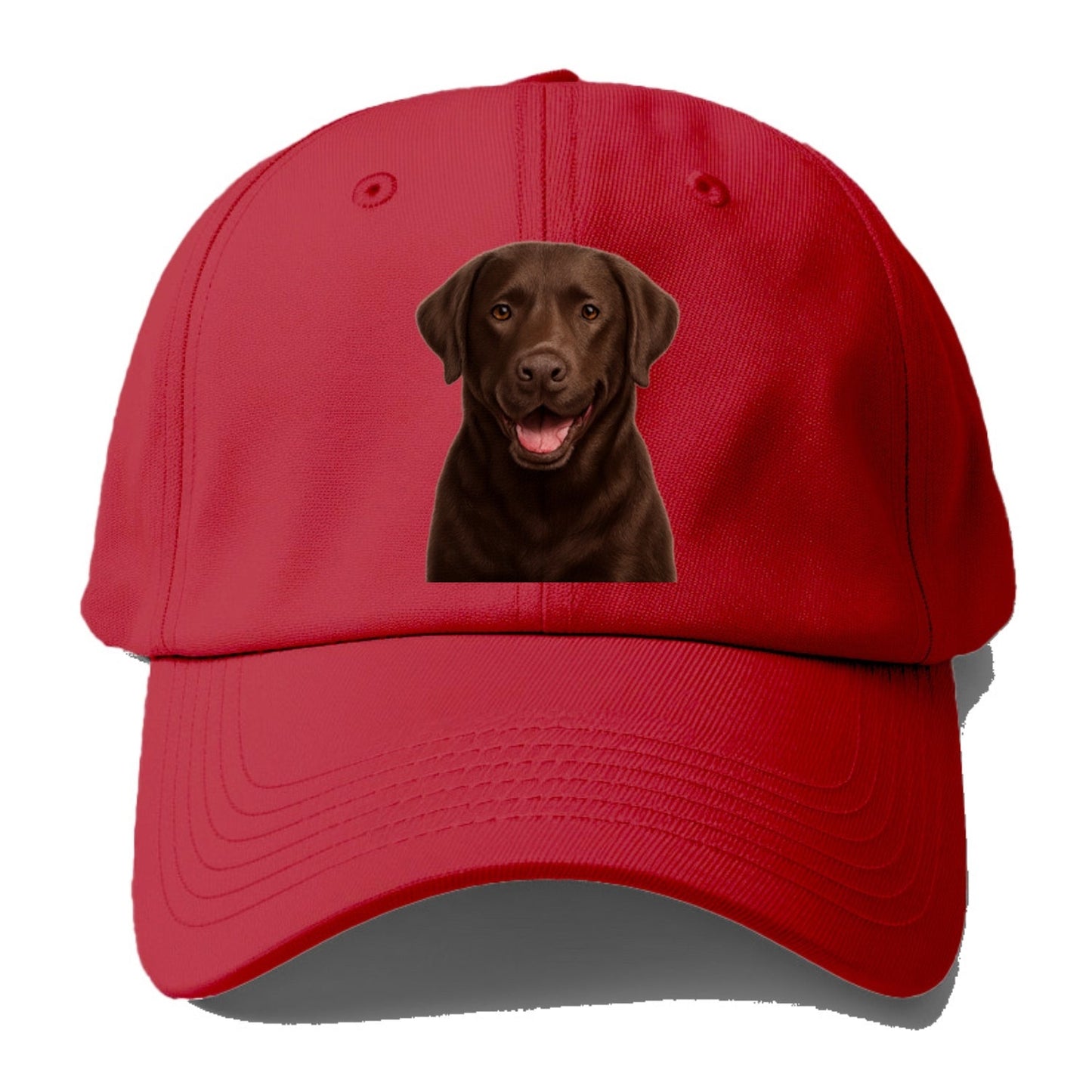 Labrador Friendly Family Baseball Cap