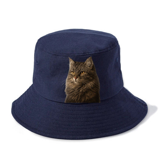 Domestic Longhair Graceful Charm Bucket Hat
