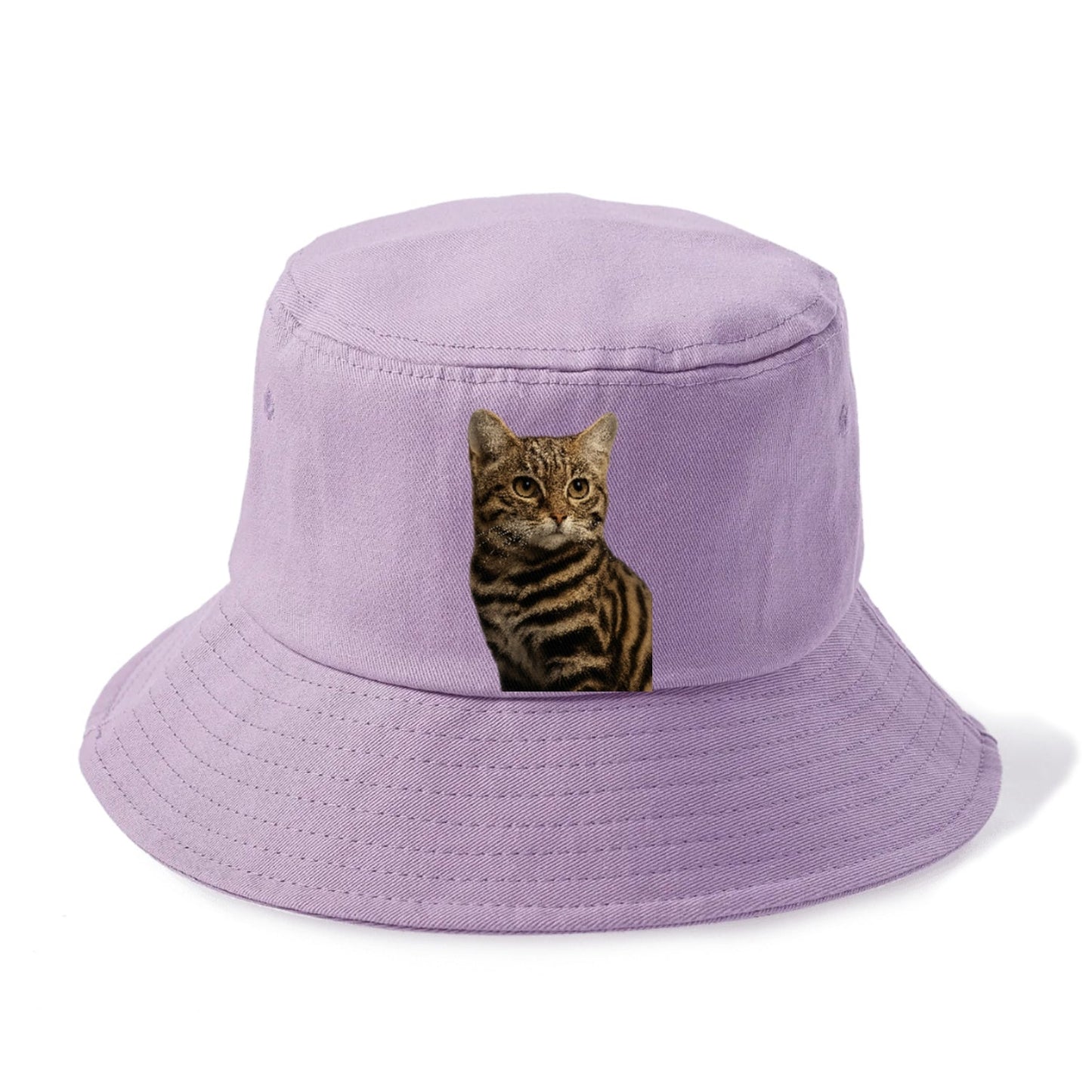 Blackfooted Cat Elusive Hunter Bucket Hat