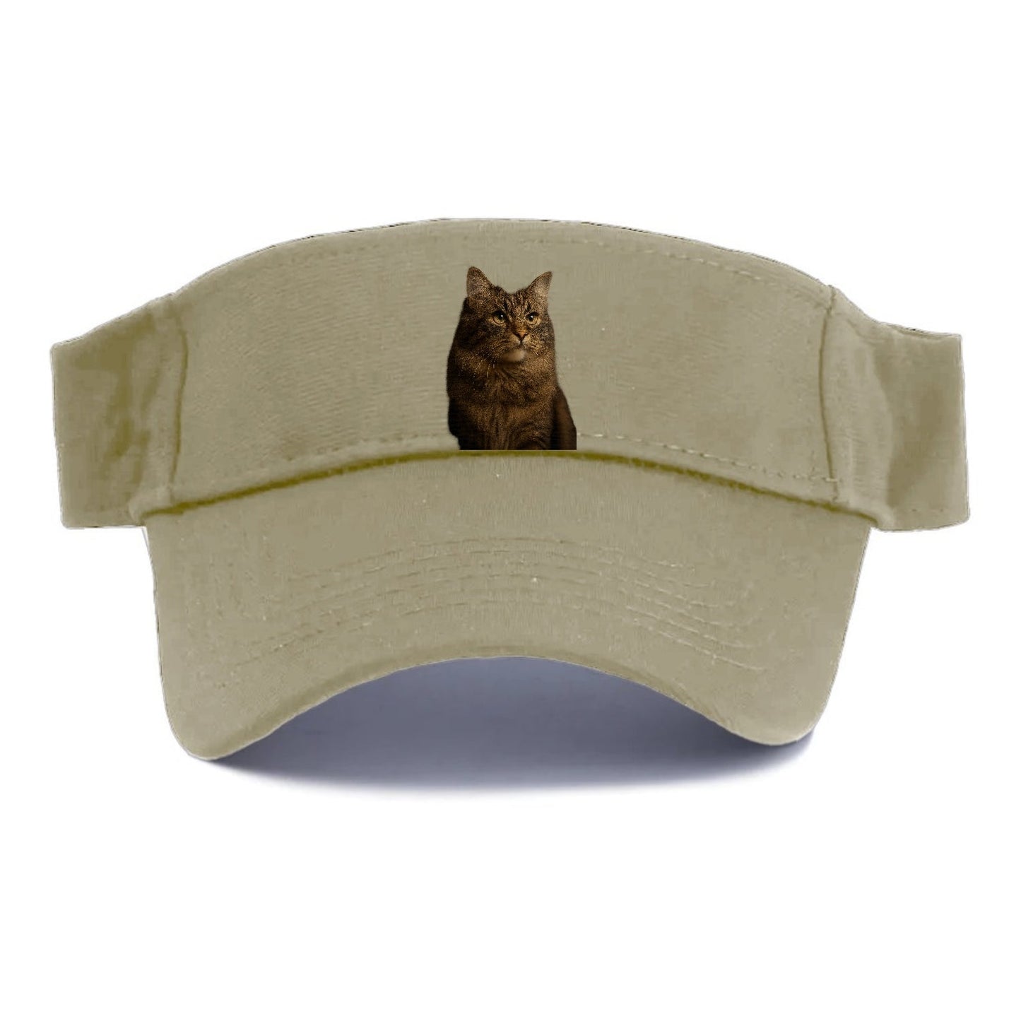 Regal Cymric Charm Visor