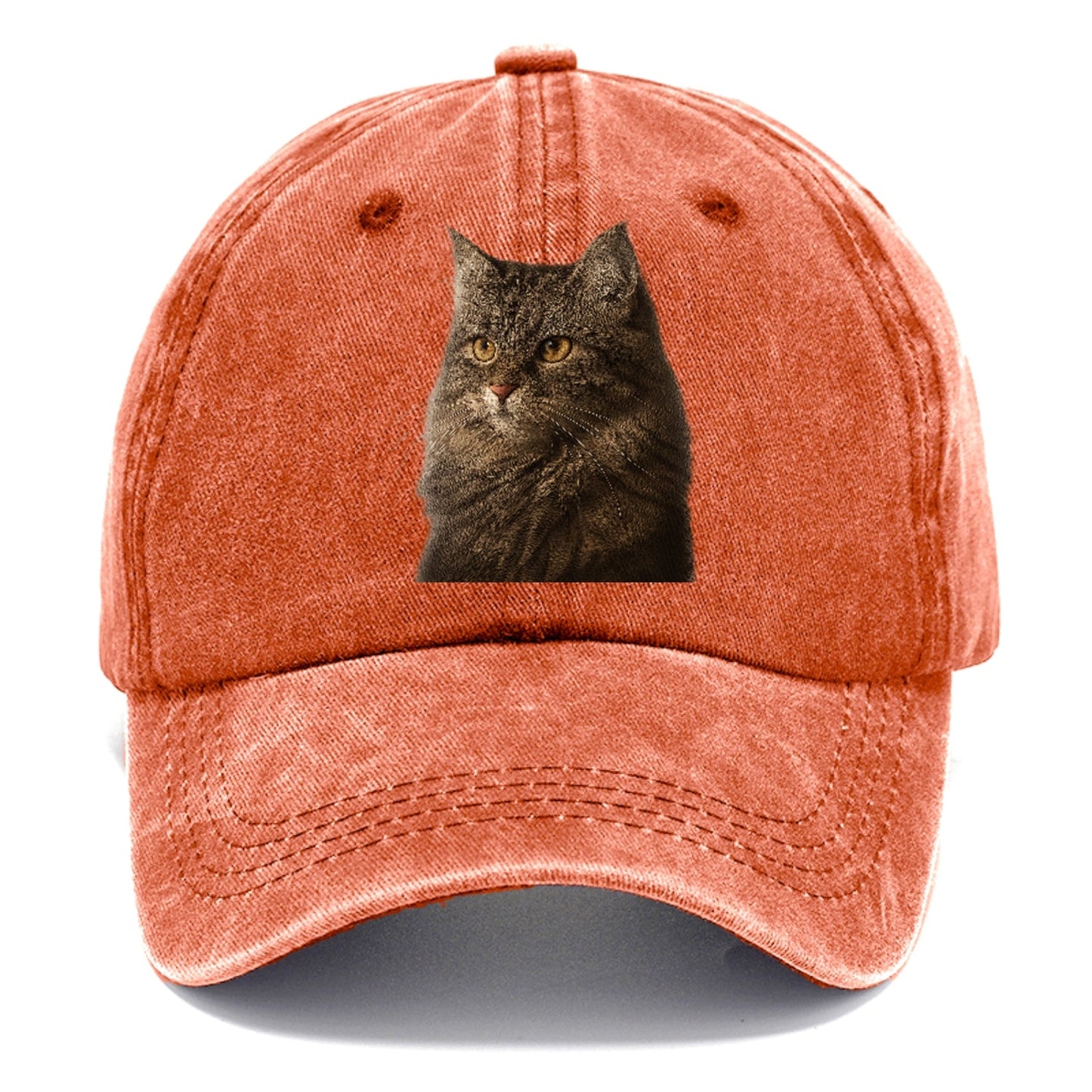 Domestic Longhair Graceful Charm Classic Cap
