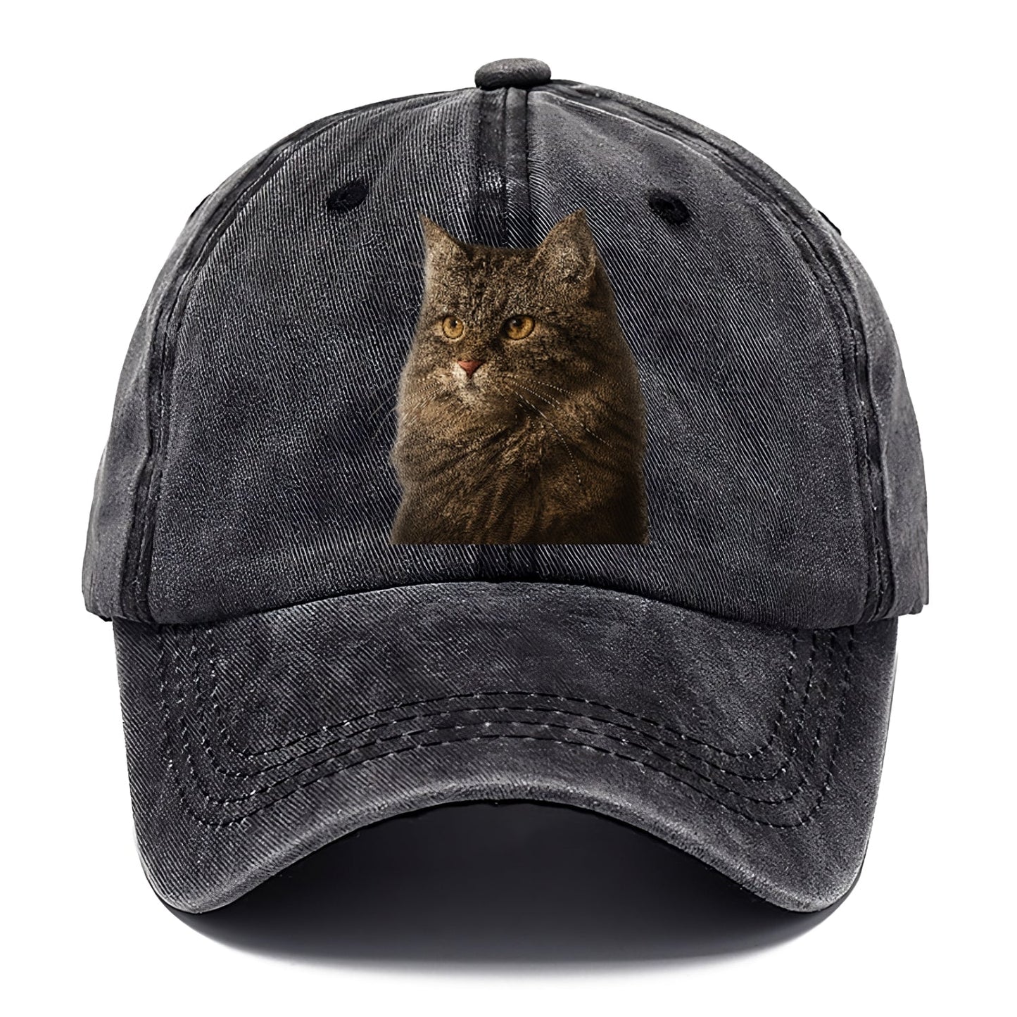 Domestic Longhair Graceful Charm Classic Cap