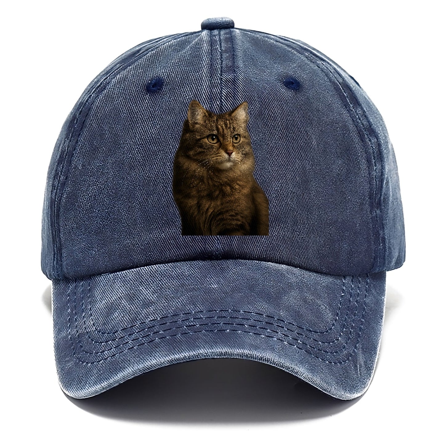 Domestic Longhair Graceful Flow Classic Cap