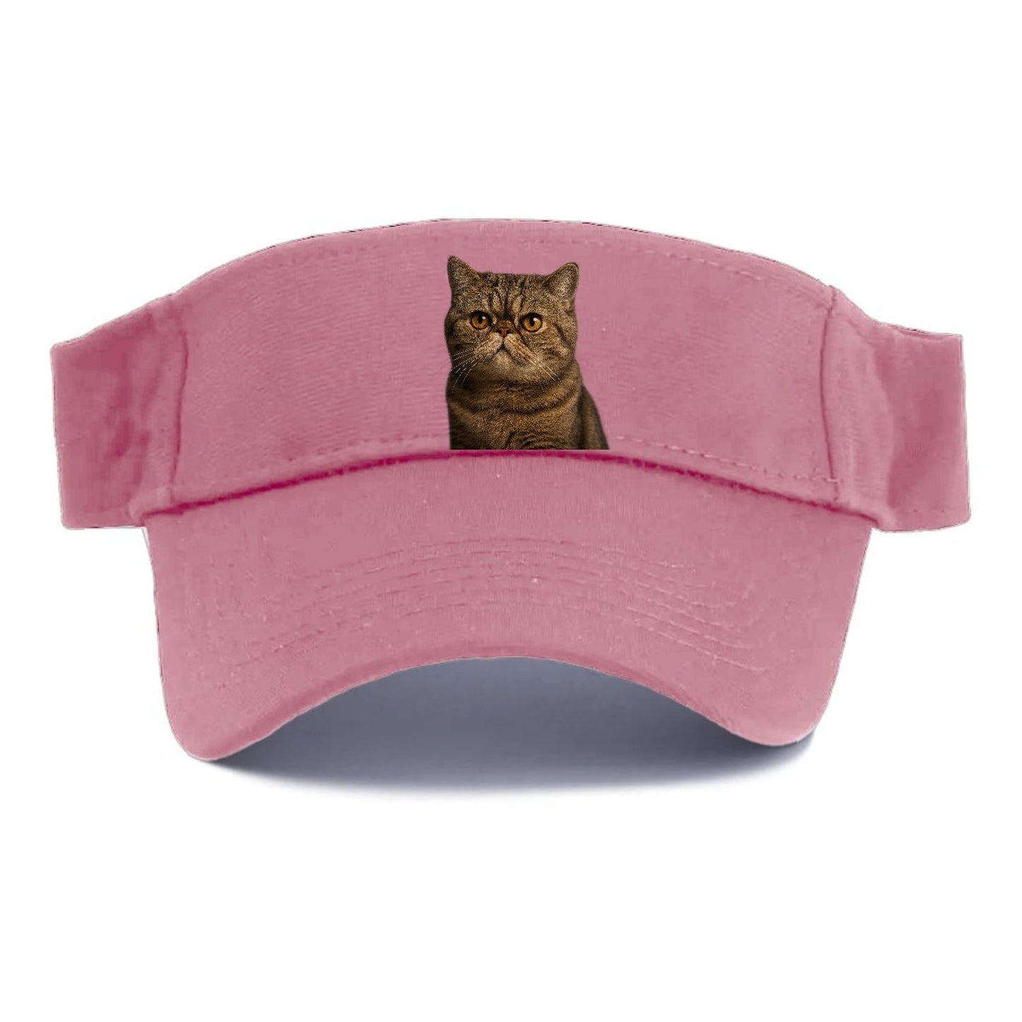 Exotic Shorthair Charm Visor