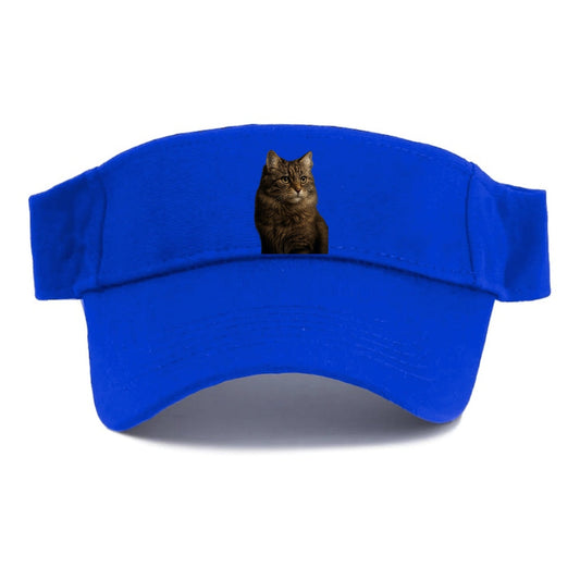 Domestic Longhair Graceful Flow Visor
