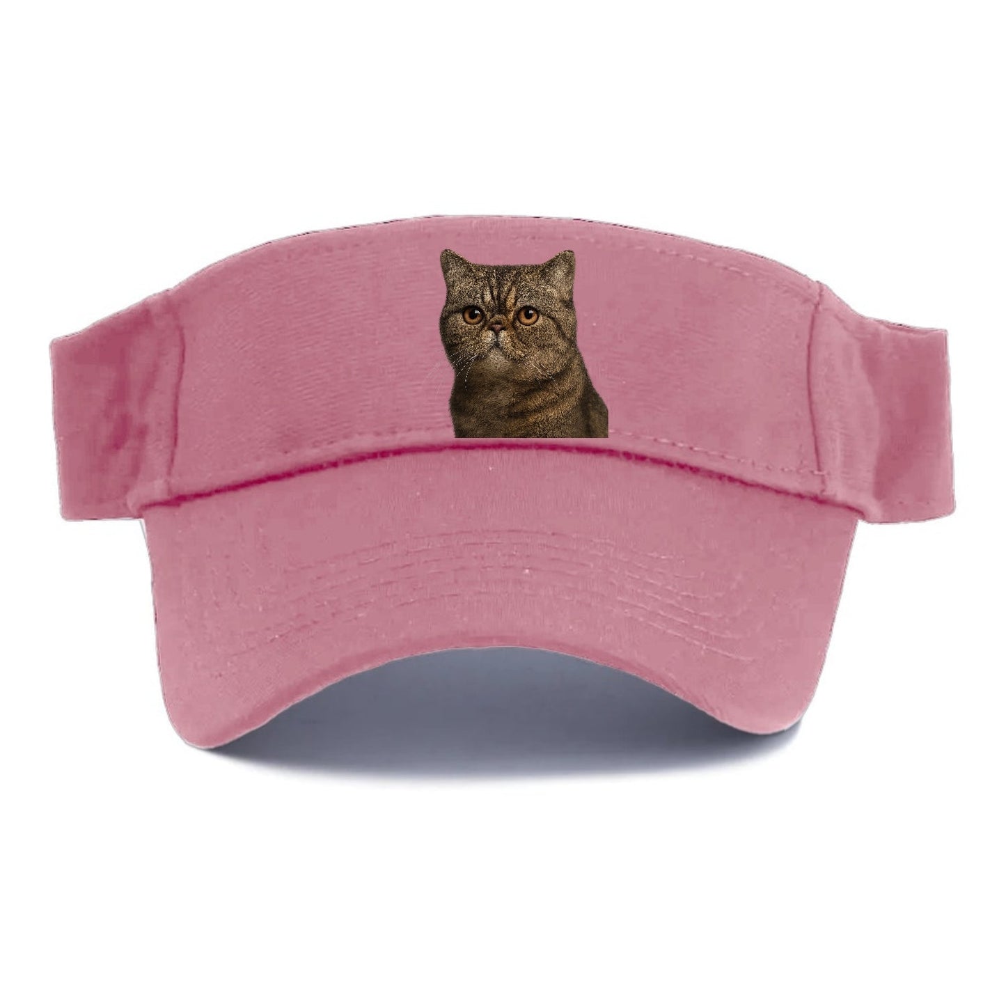 Exotic Shorthair Calm Demeanor Visor