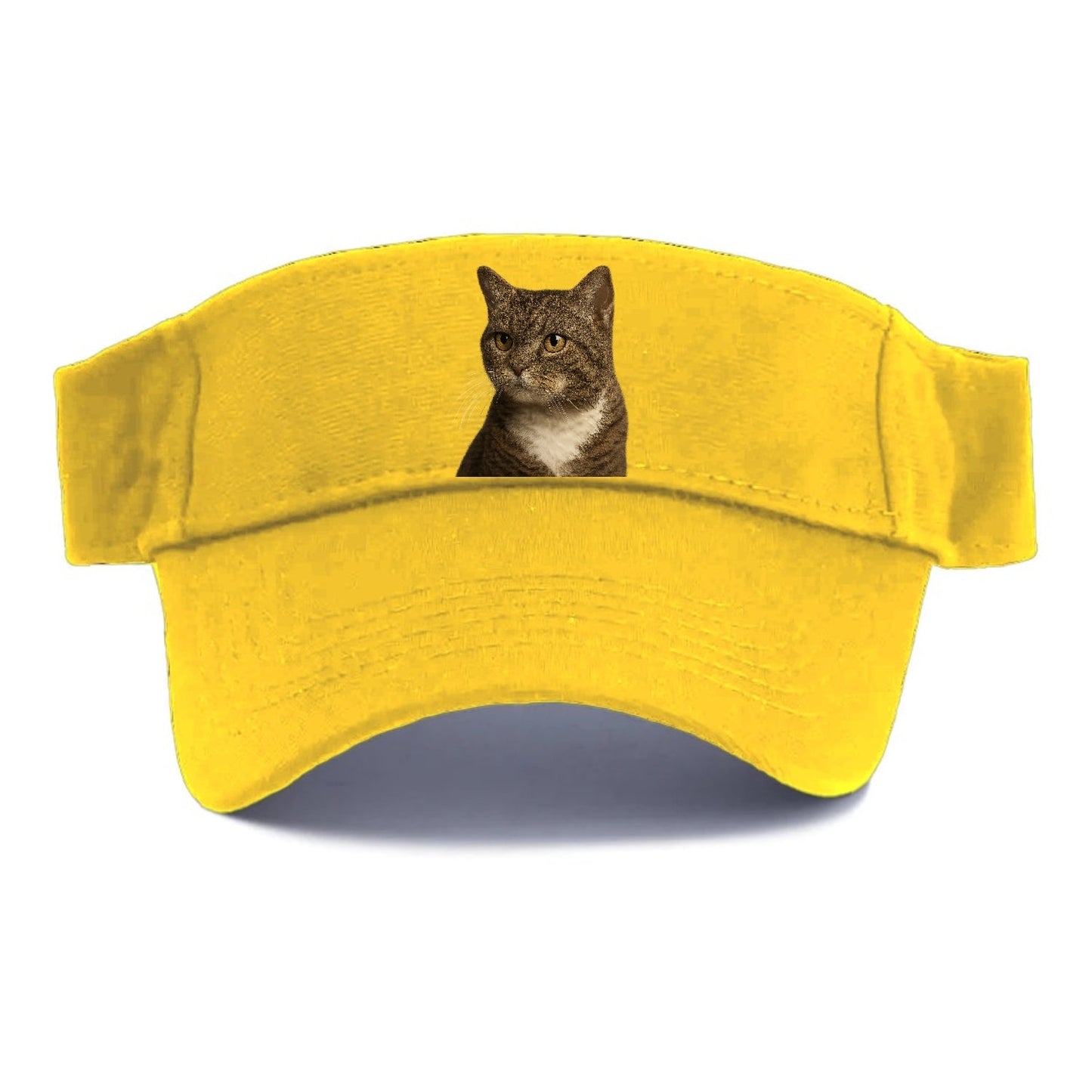 American Wirehair Unique Charm Visor