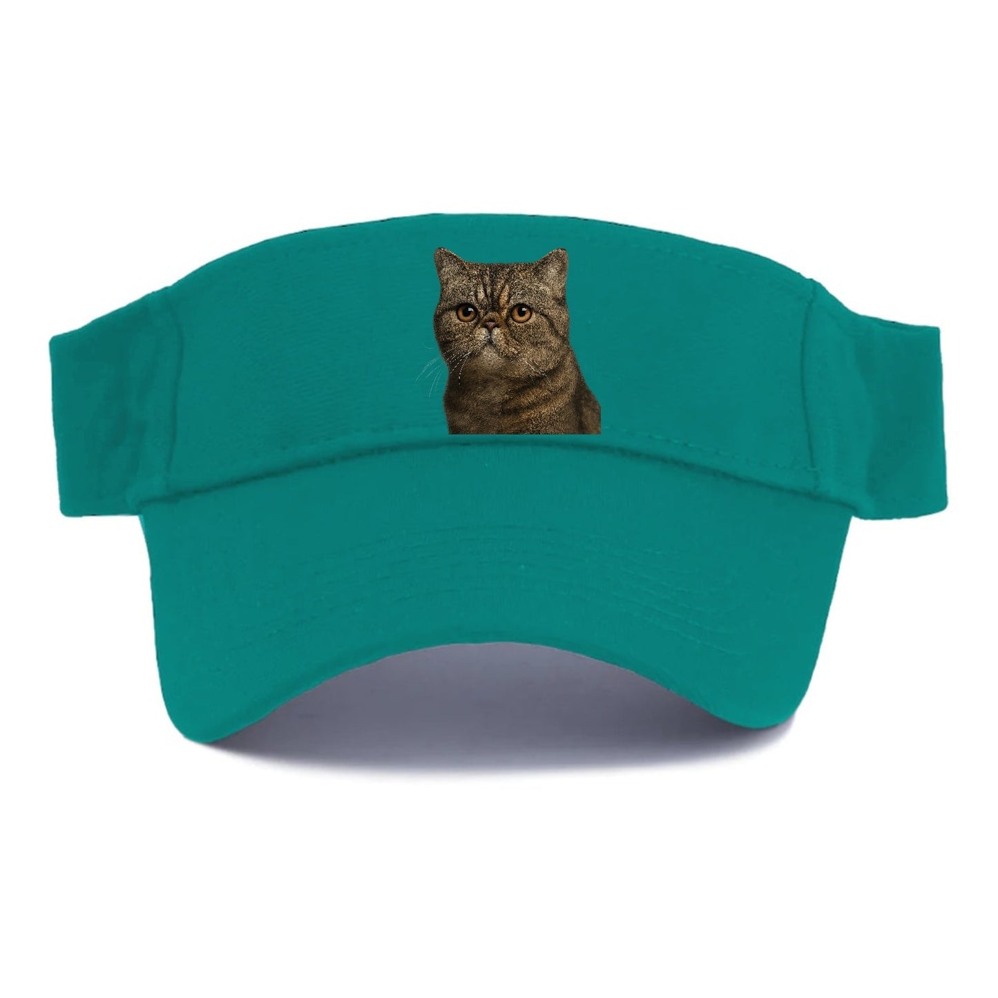 Exotic Shorthair Calm Demeanor Visor