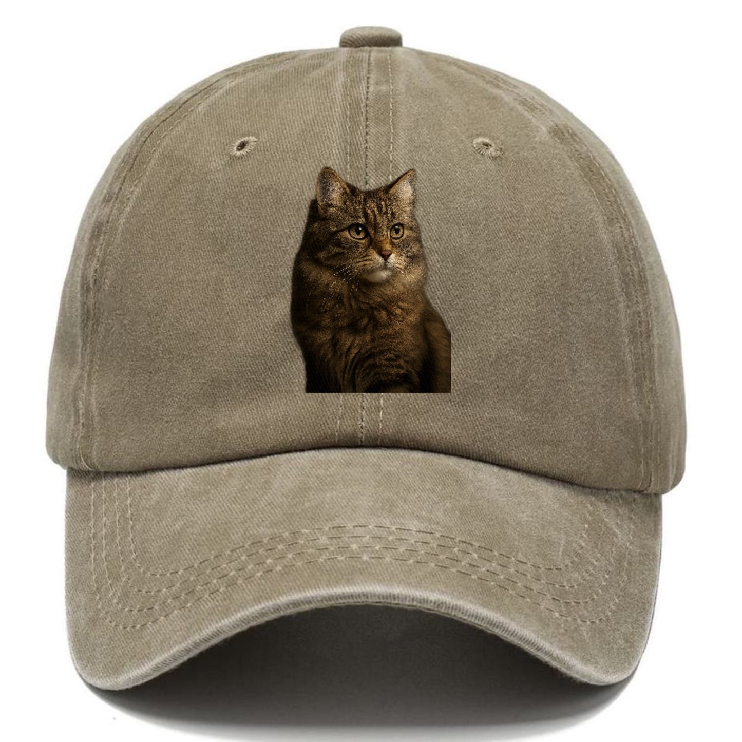 Domestic Longhair Graceful Flow Classic Cap