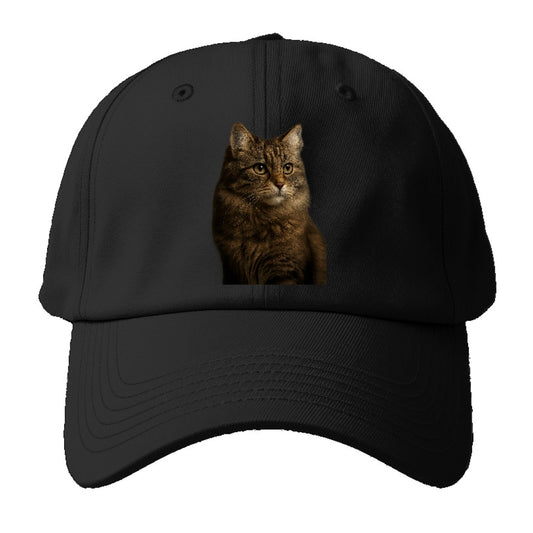 Domestic Longhair Graceful Flow Baseball Cap
