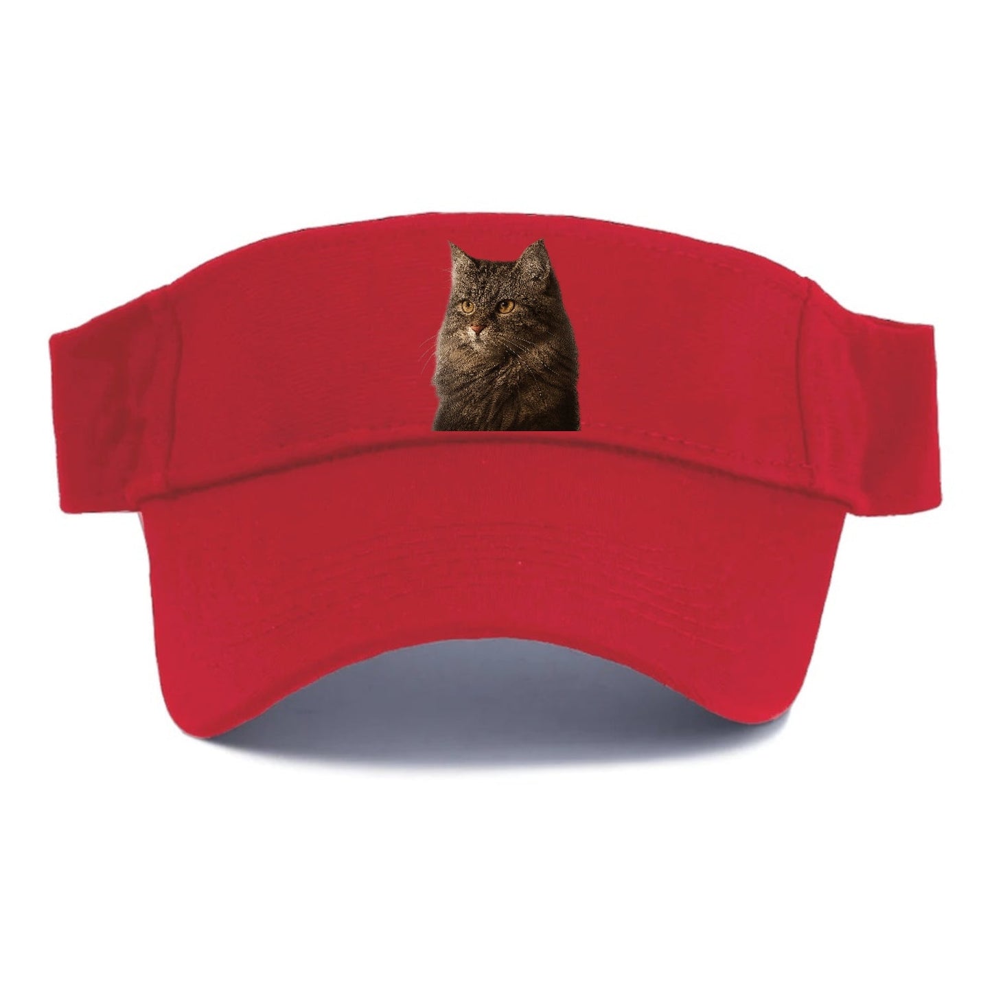 Domestic Longhair Graceful Charm Visor