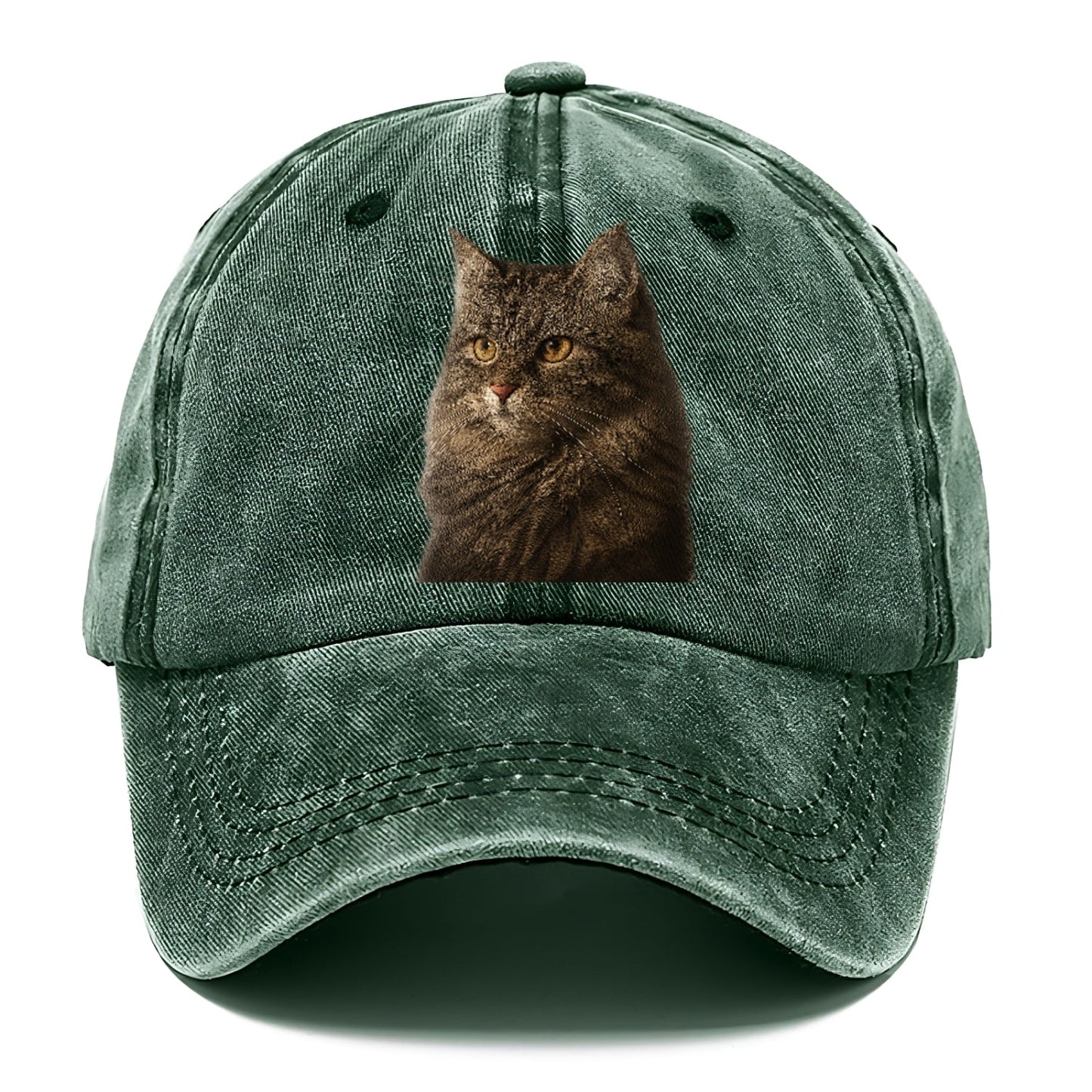 Domestic Longhair Graceful Charm Classic Cap