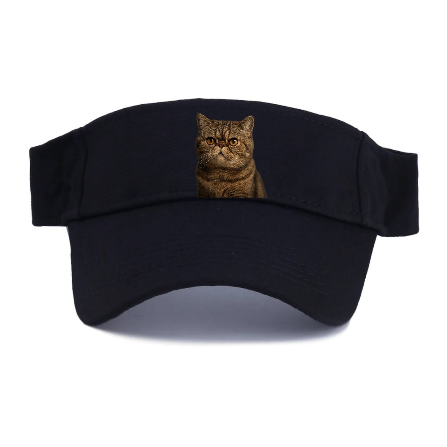 Exotic Shorthair Charm Visor