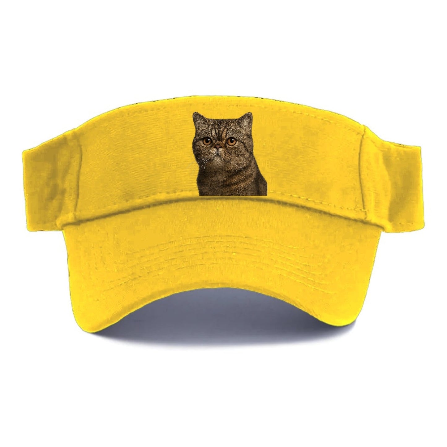 Exotic Shorthair Calm Demeanor Visor