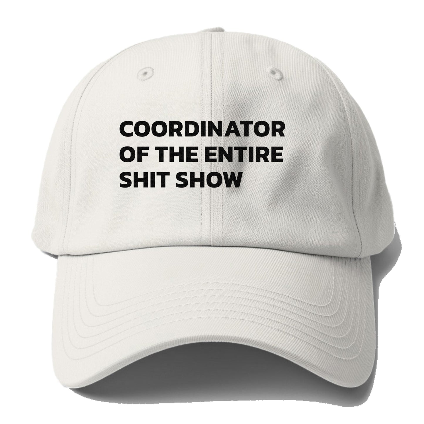 Coordinator Of The Entire Shit Show Baseball Cap