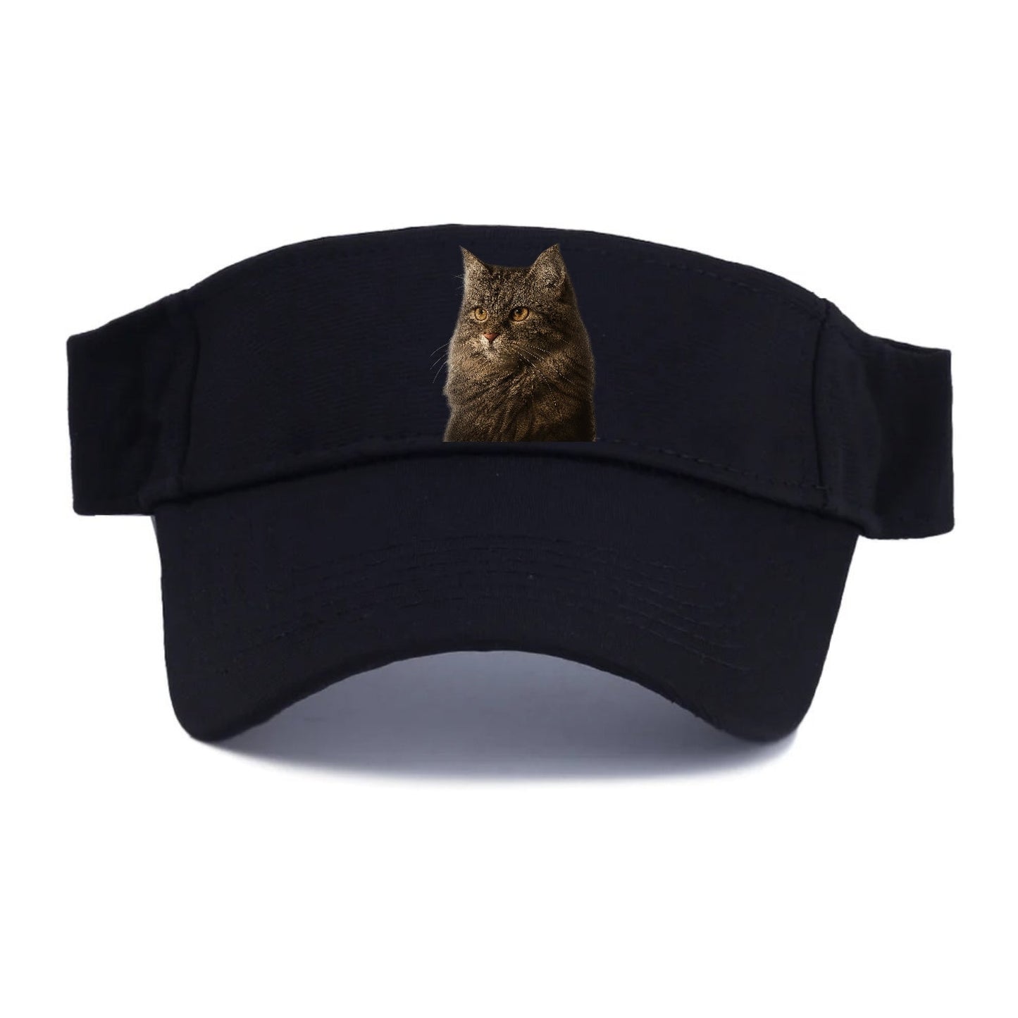 Domestic Longhair Graceful Charm Visor