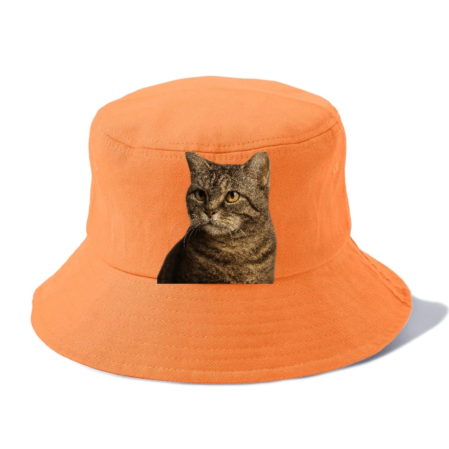 American Wirehair Unique Texture Bucket Hat