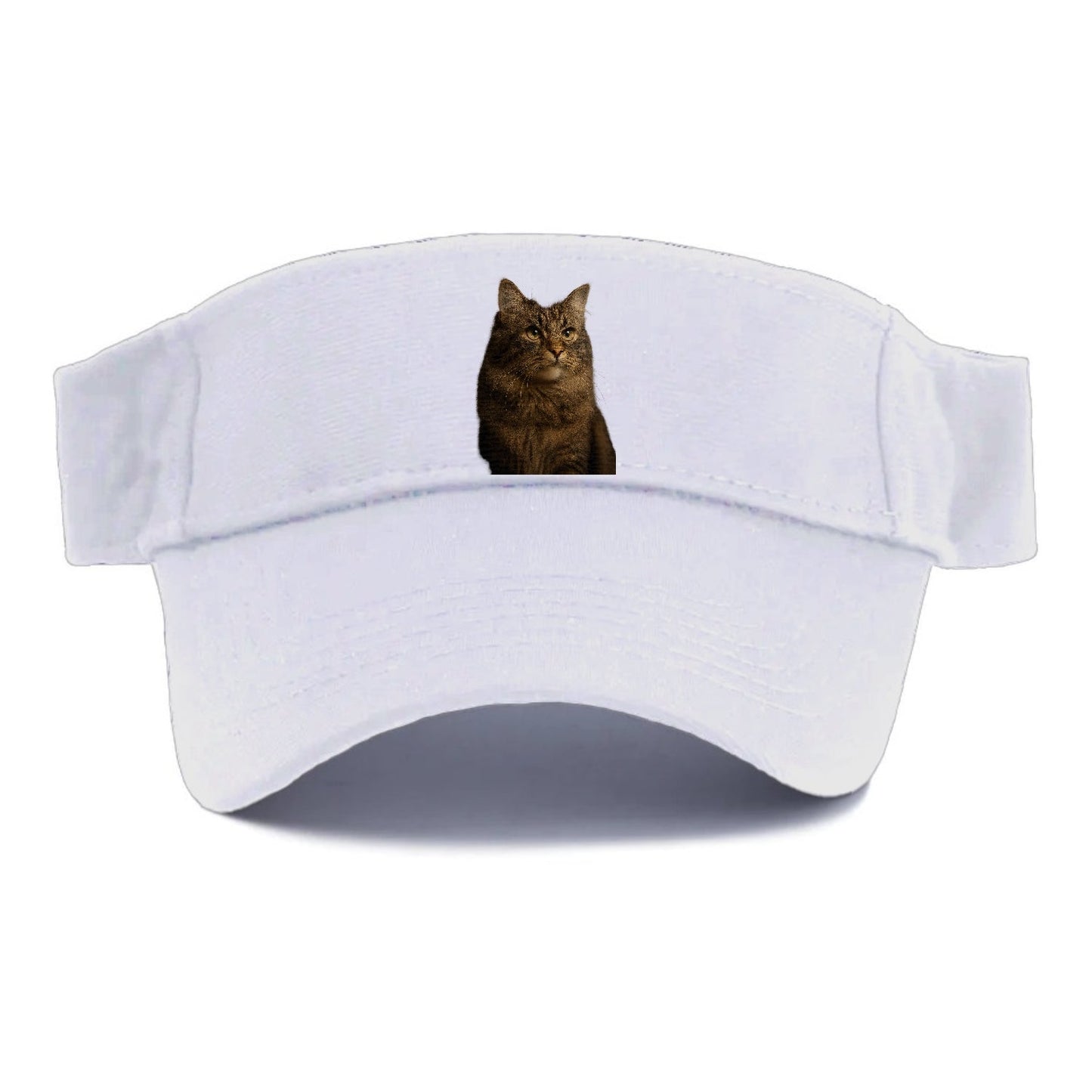 Regal Cymric Charm Visor