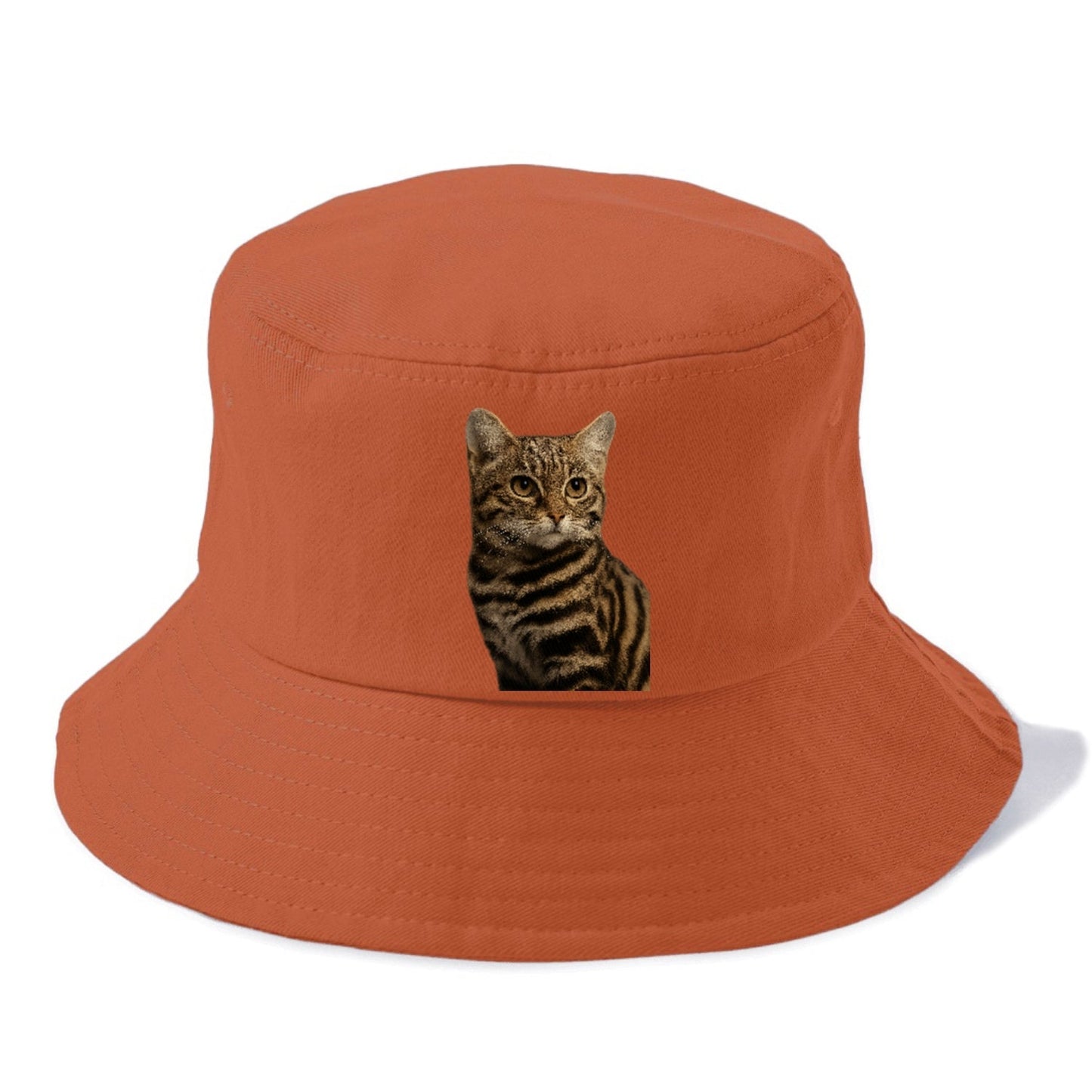 Blackfooted Cat Elusive Hunter Bucket Hat
