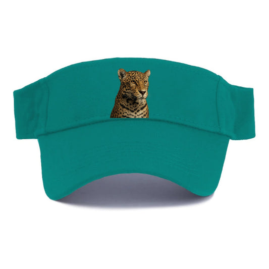 Jaguar Stealthy Grace Visor