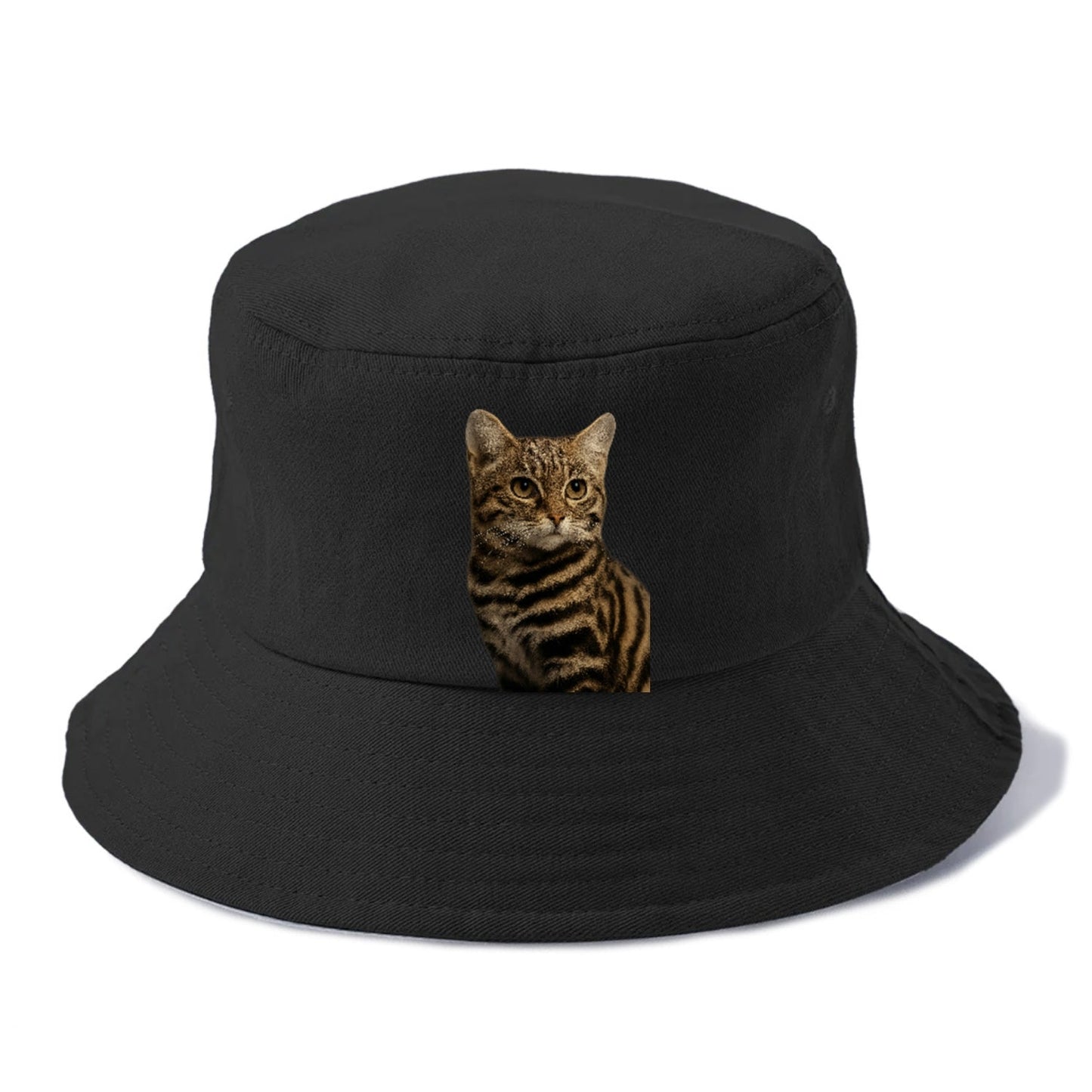 Blackfooted Cat Elusive Hunter Bucket Hat