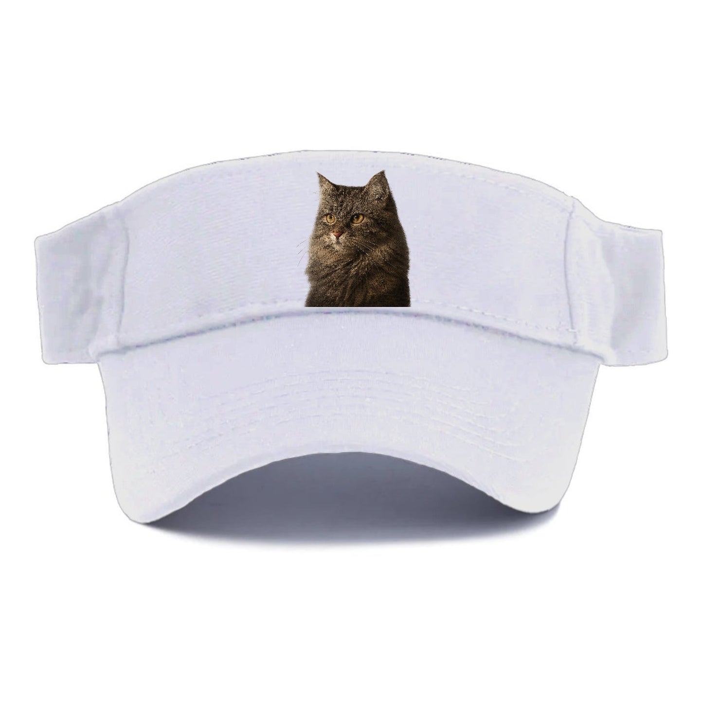 Domestic Longhair Graceful Charm Visor