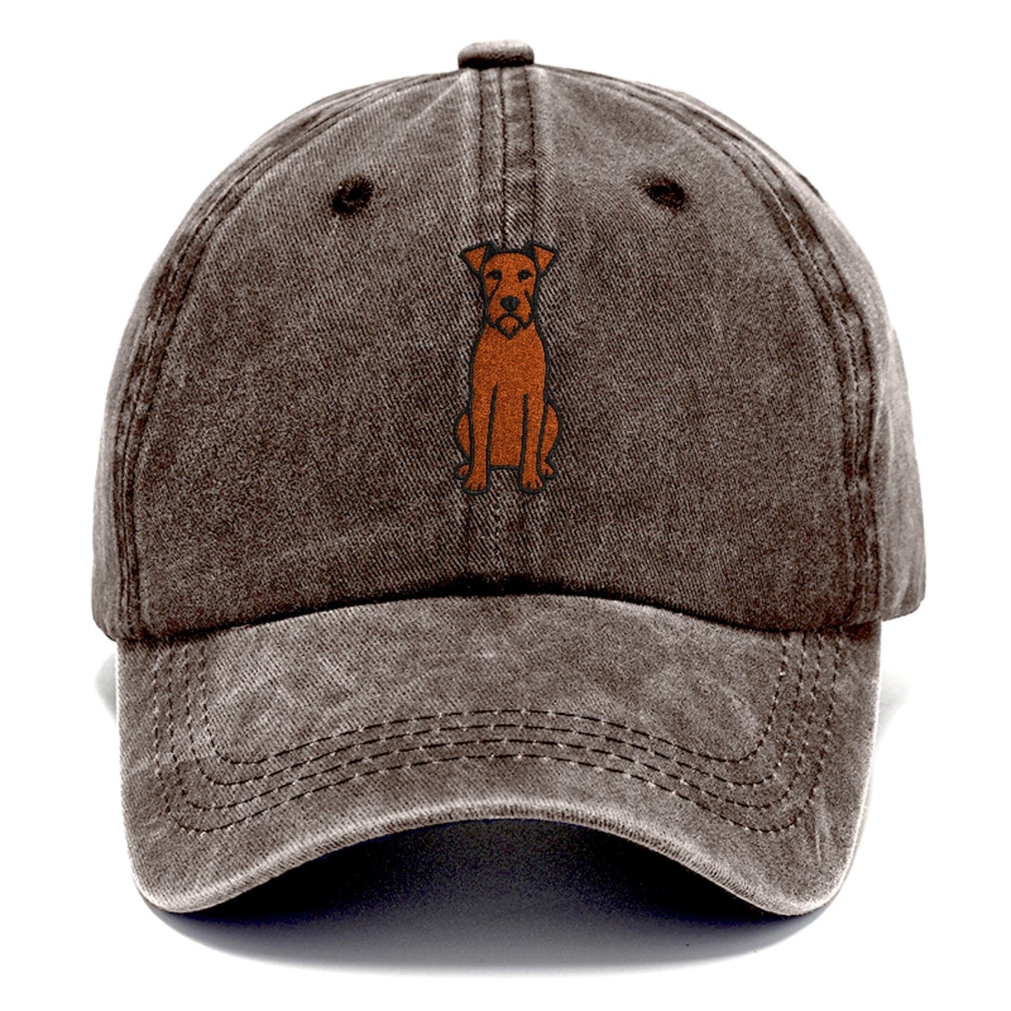 Irish Terrier Red Colored Sitting Pose Classic Cap