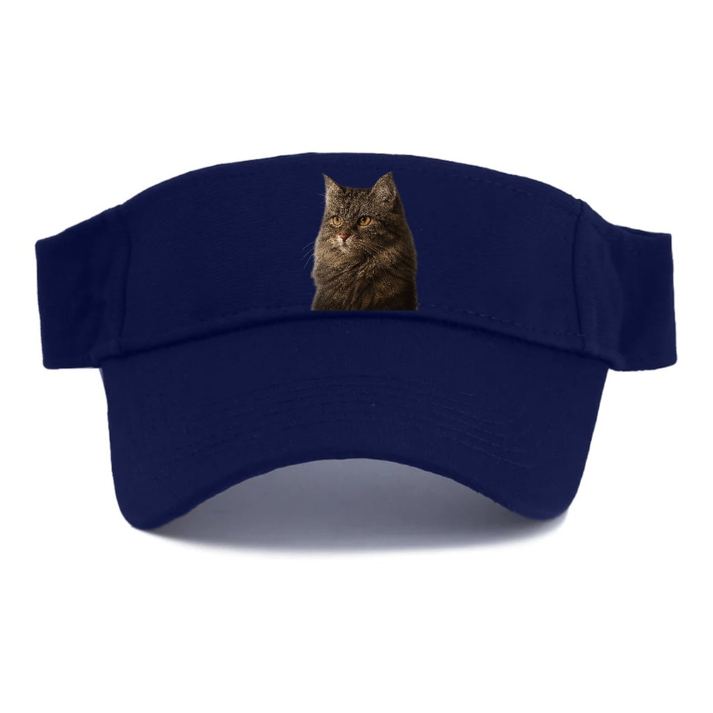 Domestic Longhair Graceful Charm Visor