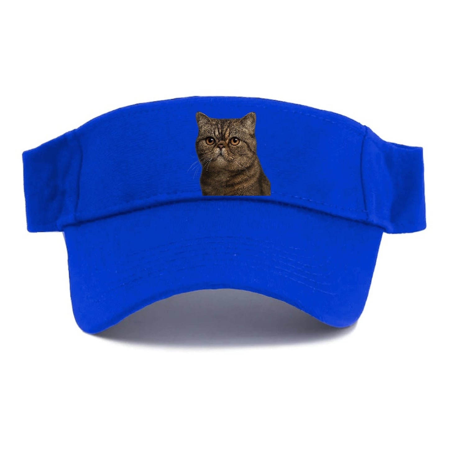 Exotic Shorthair Calm Demeanor Visor
