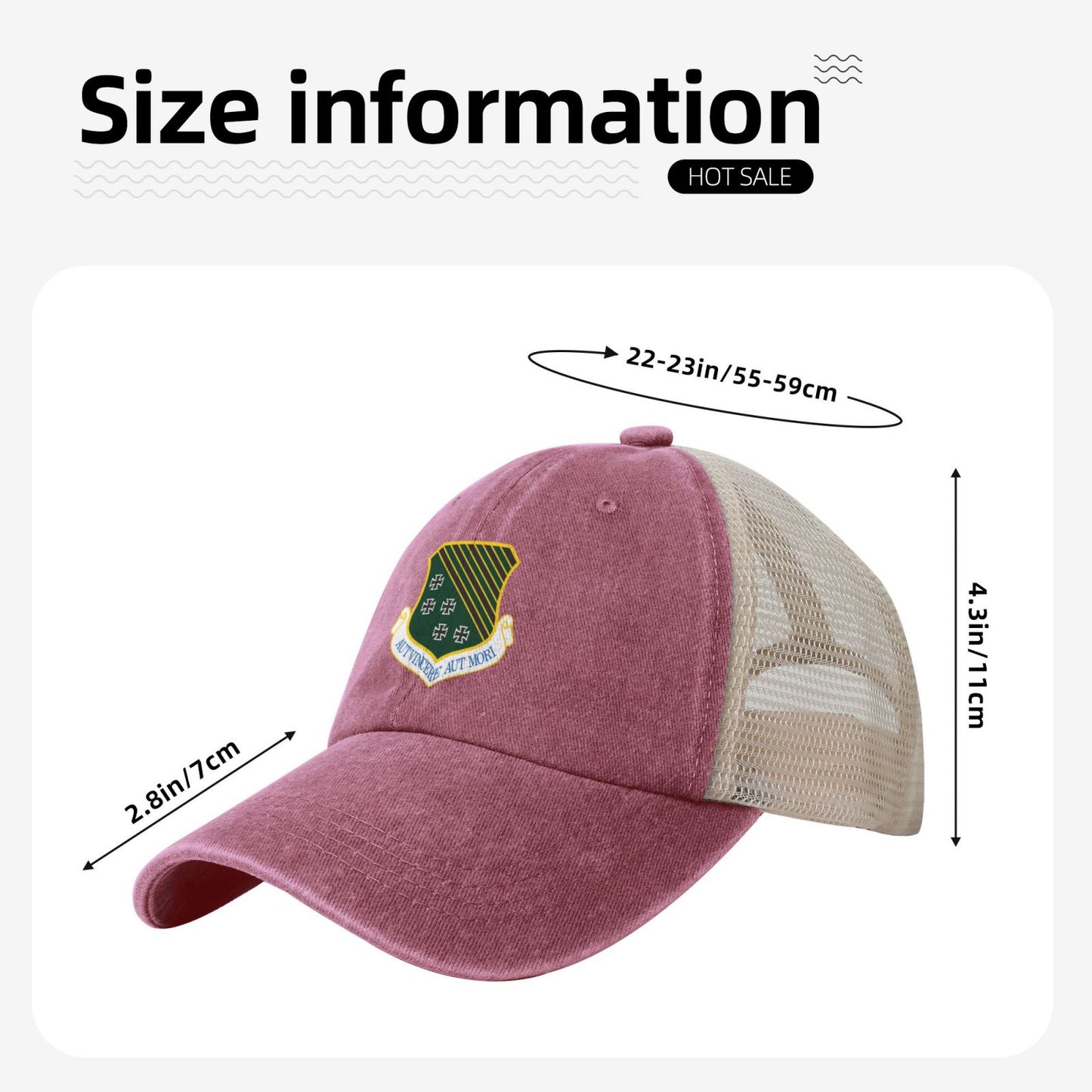 1st Fighter Wing Printed unisex baseball cap adjustable grid baseball cap veteran gift