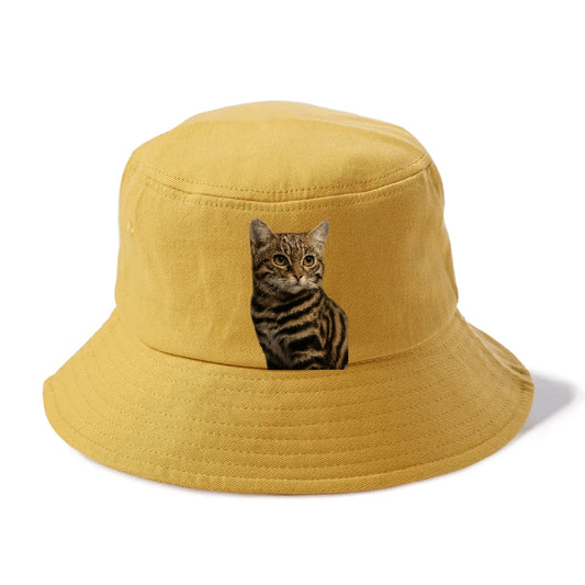 Blackfooted Cat Elusive Hunter Bucket Hat